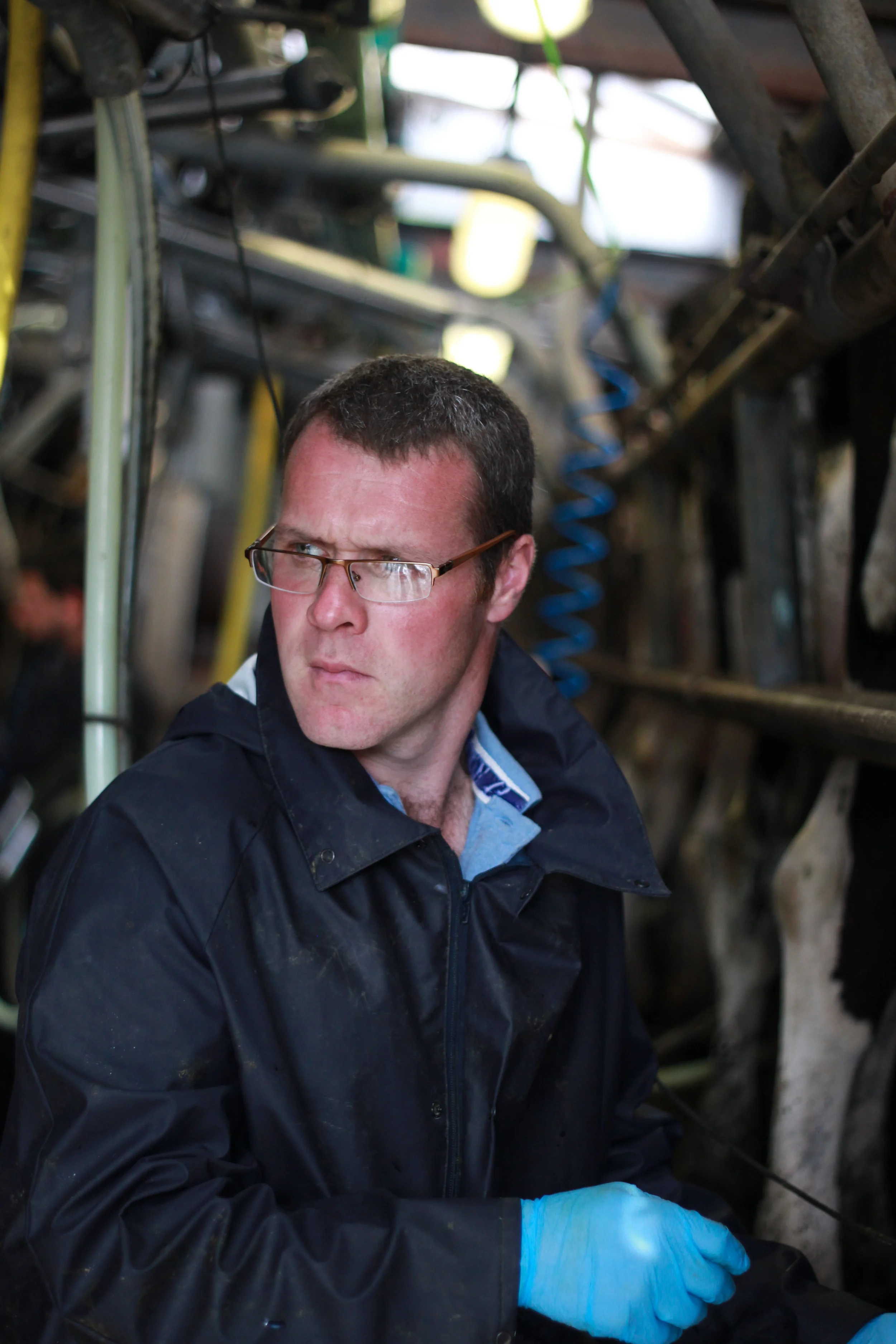 “Our dairy farm is also our home."