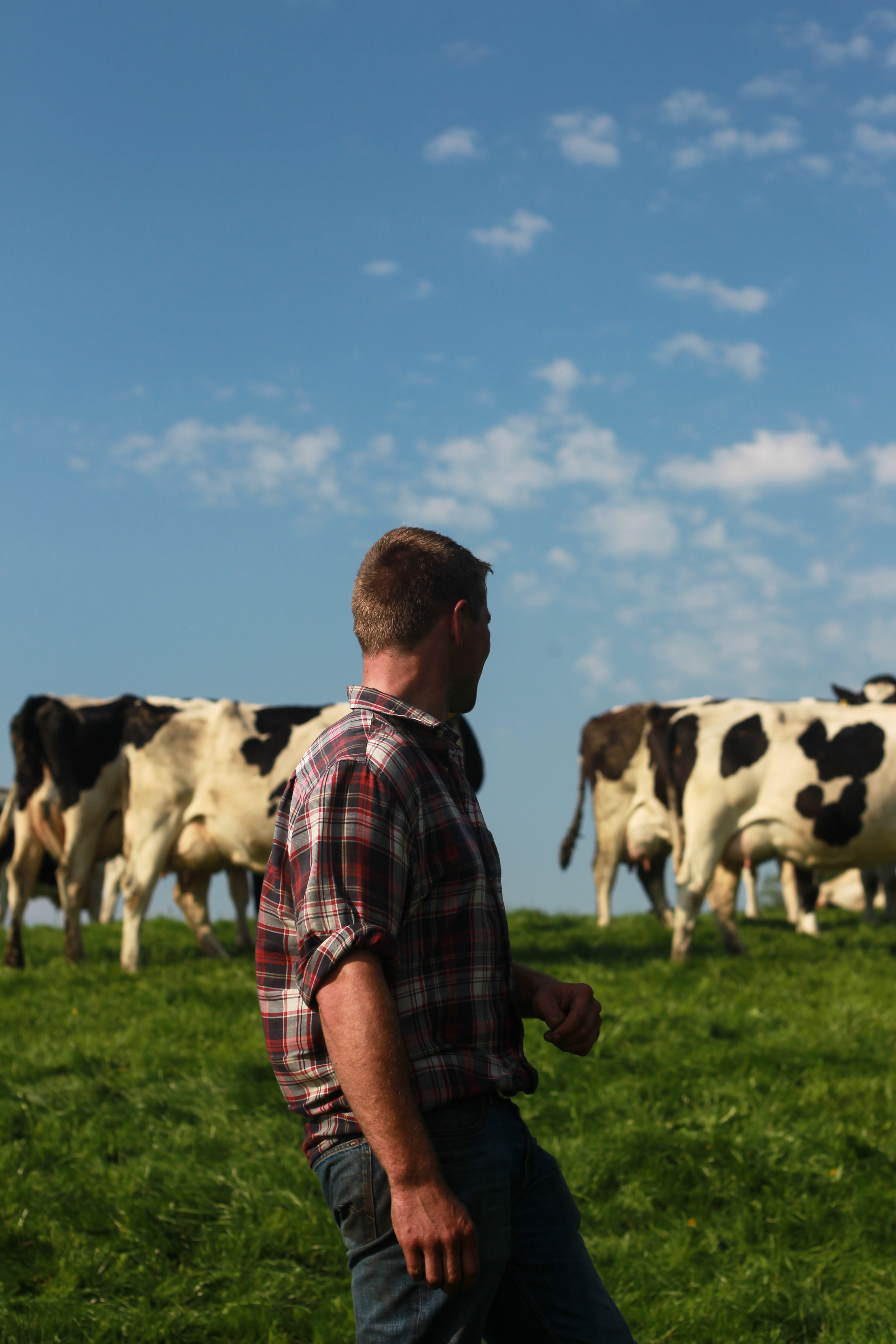“Quality and sustainable farming are a win-win for us as dairy farms, for industry, the consumer and the environment.”