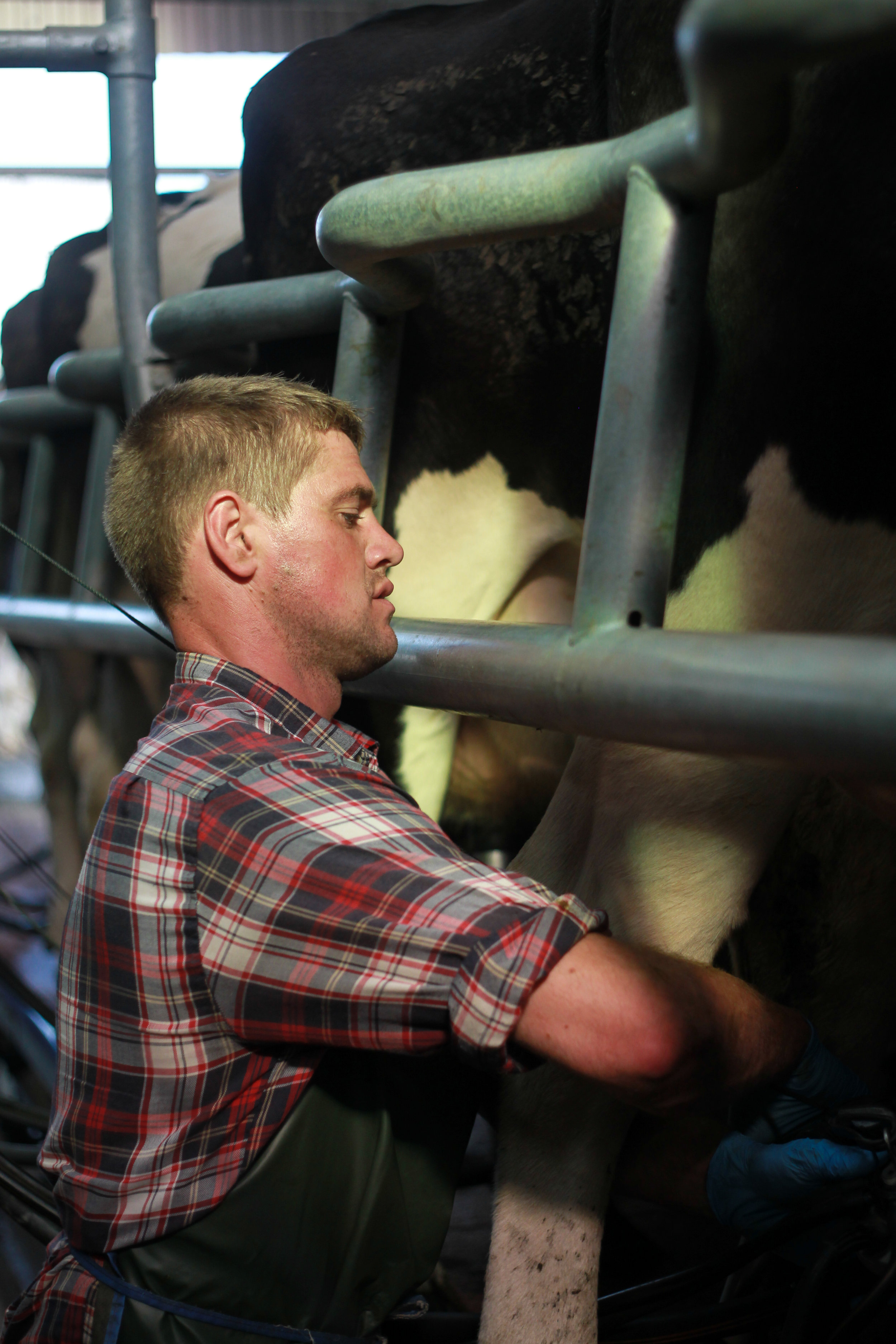  “With quality and sustainable farming we can achieve maximum output while the health and welfare of our cows is not compromised.”