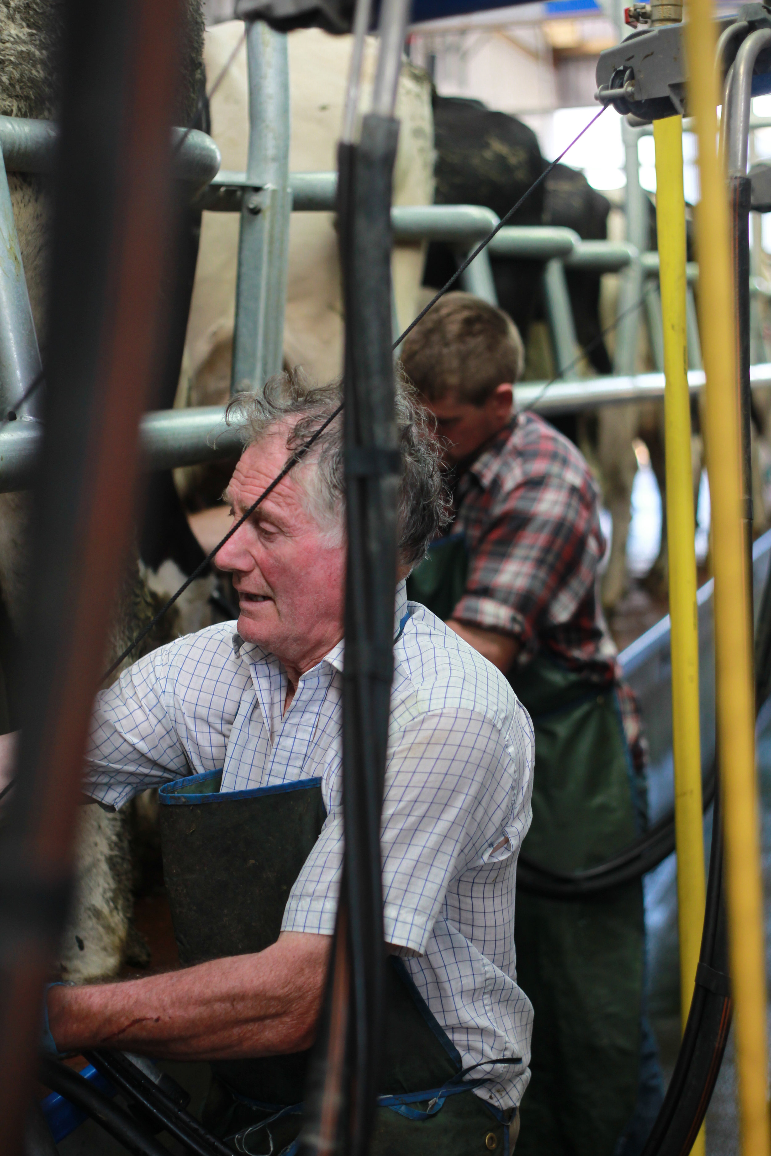 QMA Denis O'Dwyer Tipperary-57 - Copy.jpg