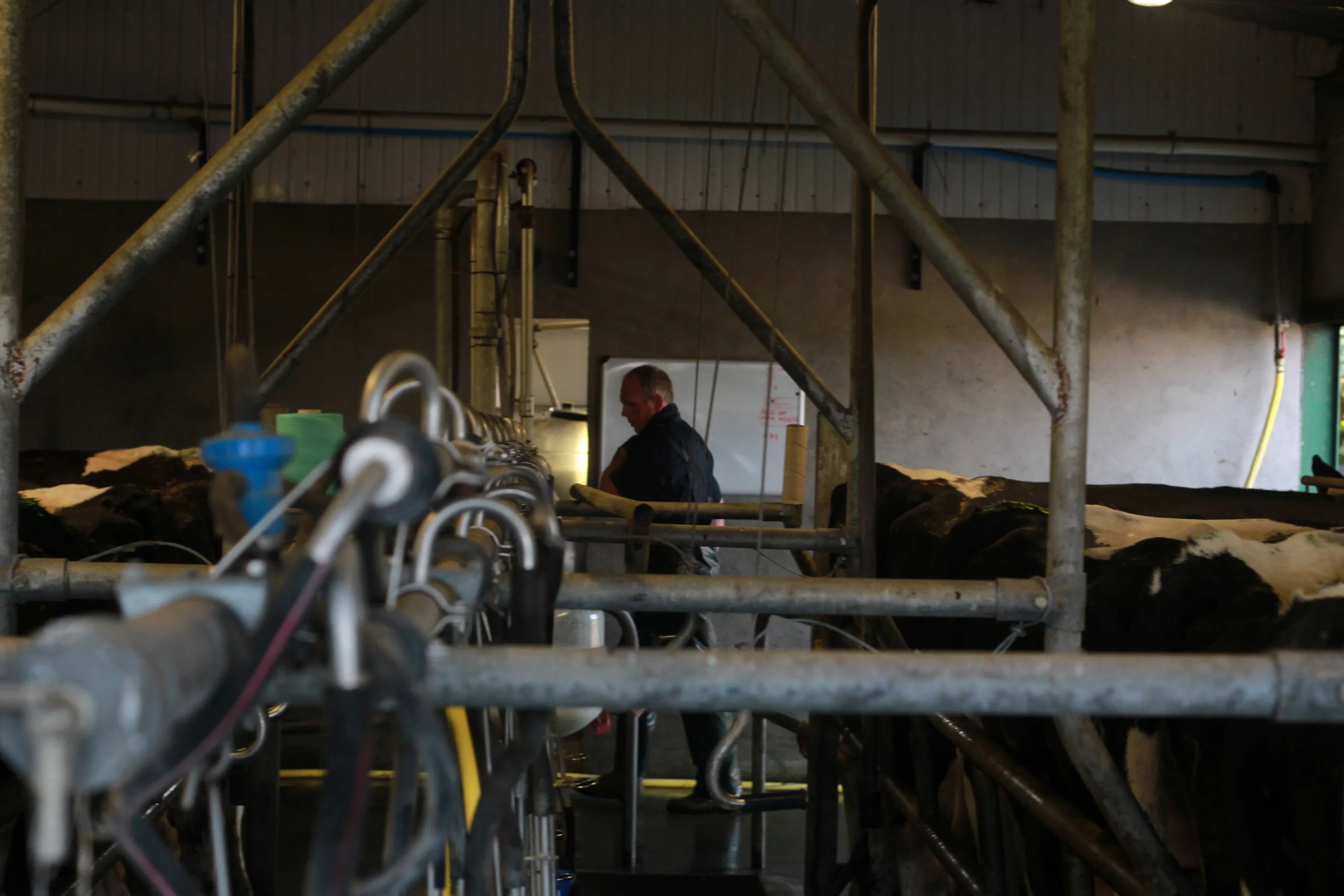 QMA Gary Horan Tipperary-37 - Copy.jpg