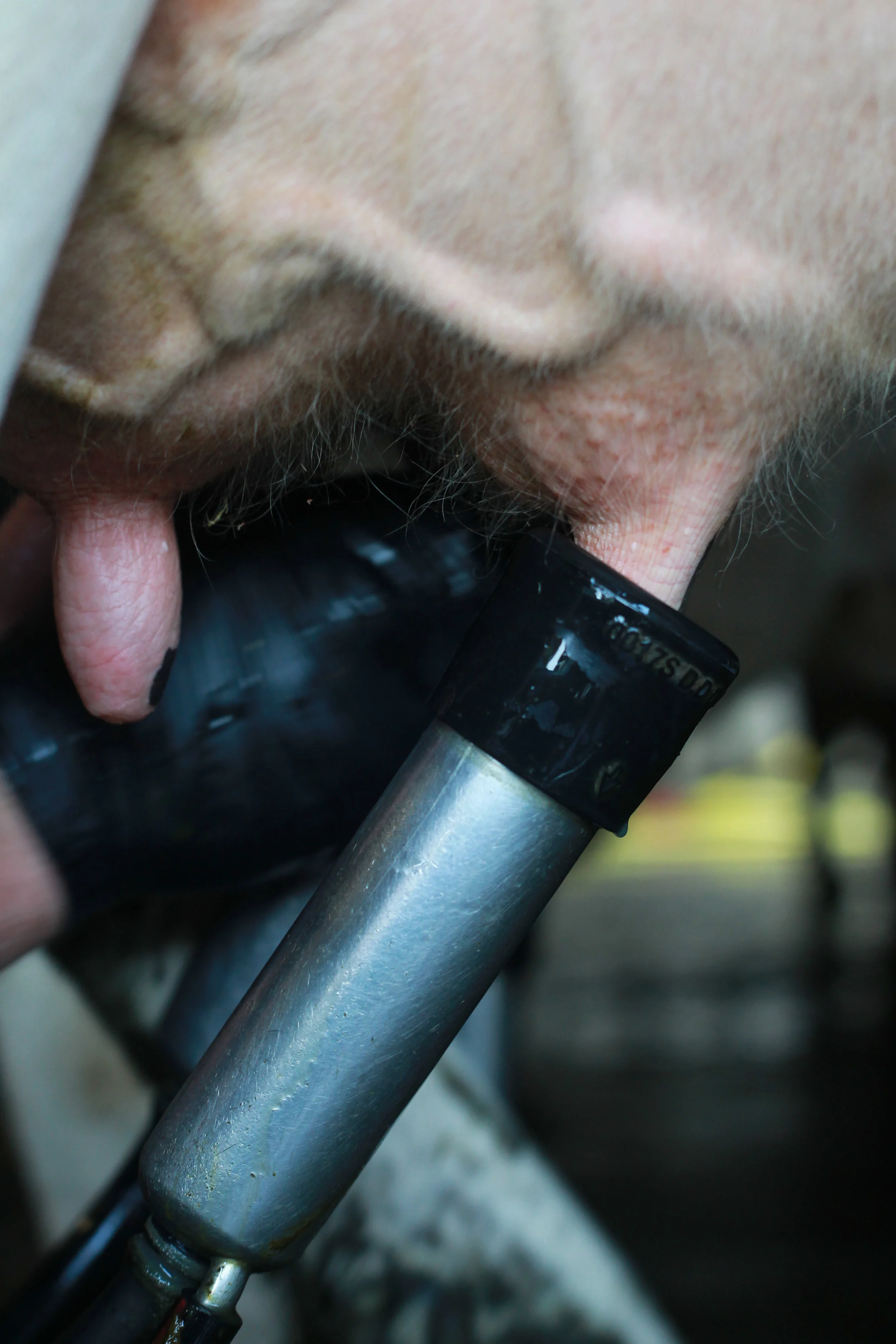 “Good animal health is key to ensuring the ease of management of the herd, and reducing the stress on both the farmer and the animal.”