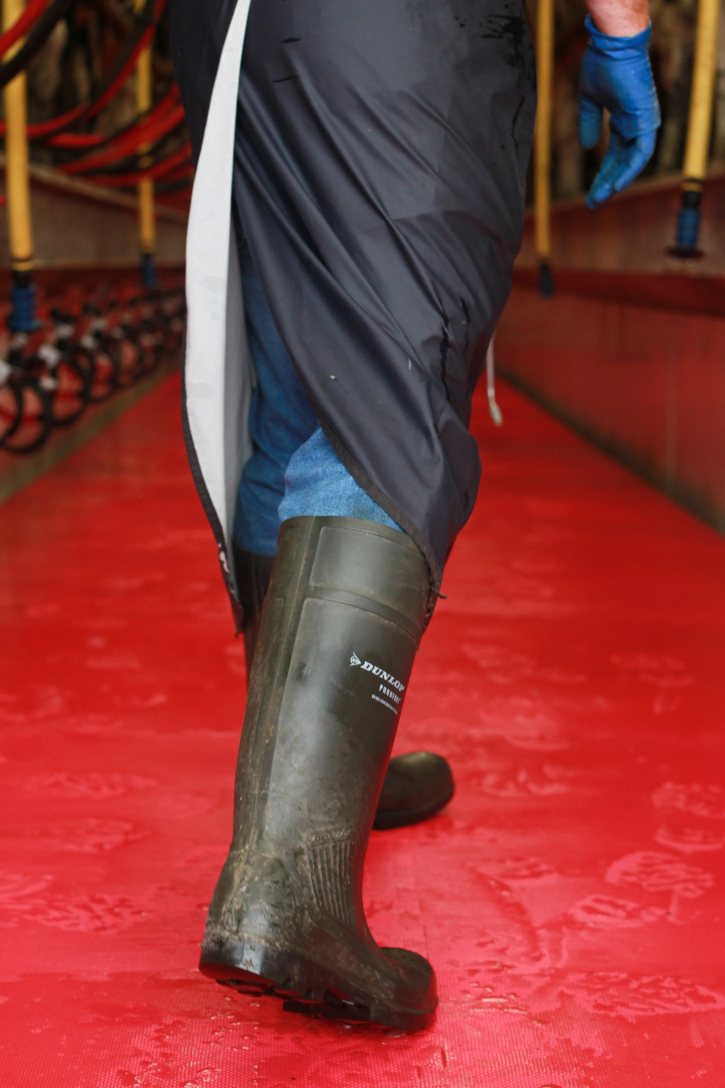 QMA Phillip Thornton Tipperary-98.jpg
