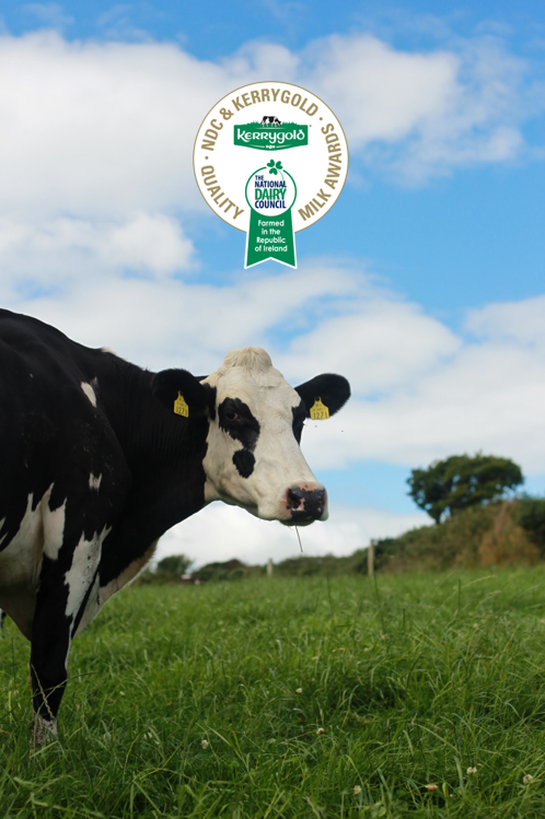 FINALISTS ANNOUNCED IN NATIONAL SEARCH FOR TOP DAIRY FARM
