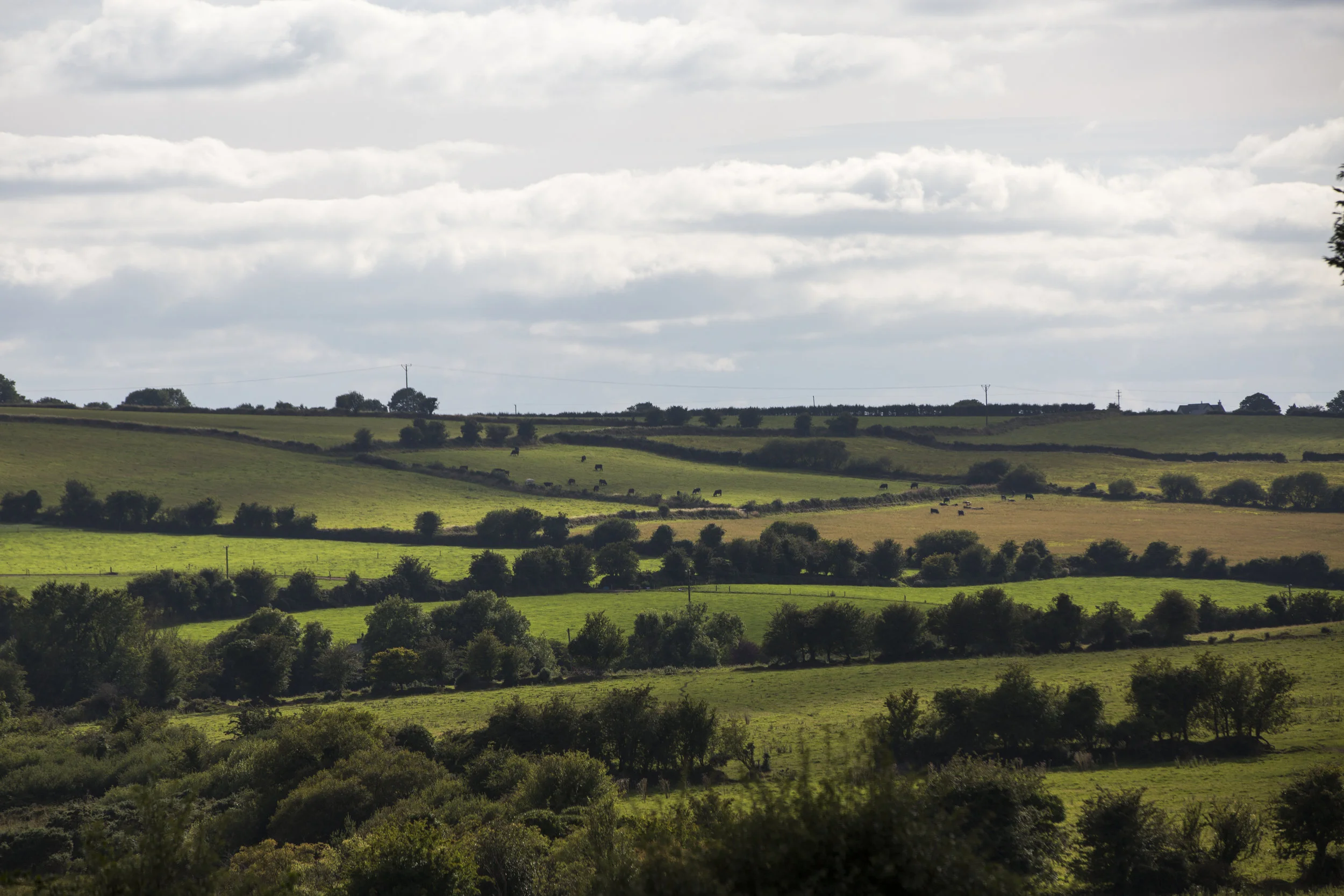 CMK7_QMA_Cork_Hegarty_074.jpg