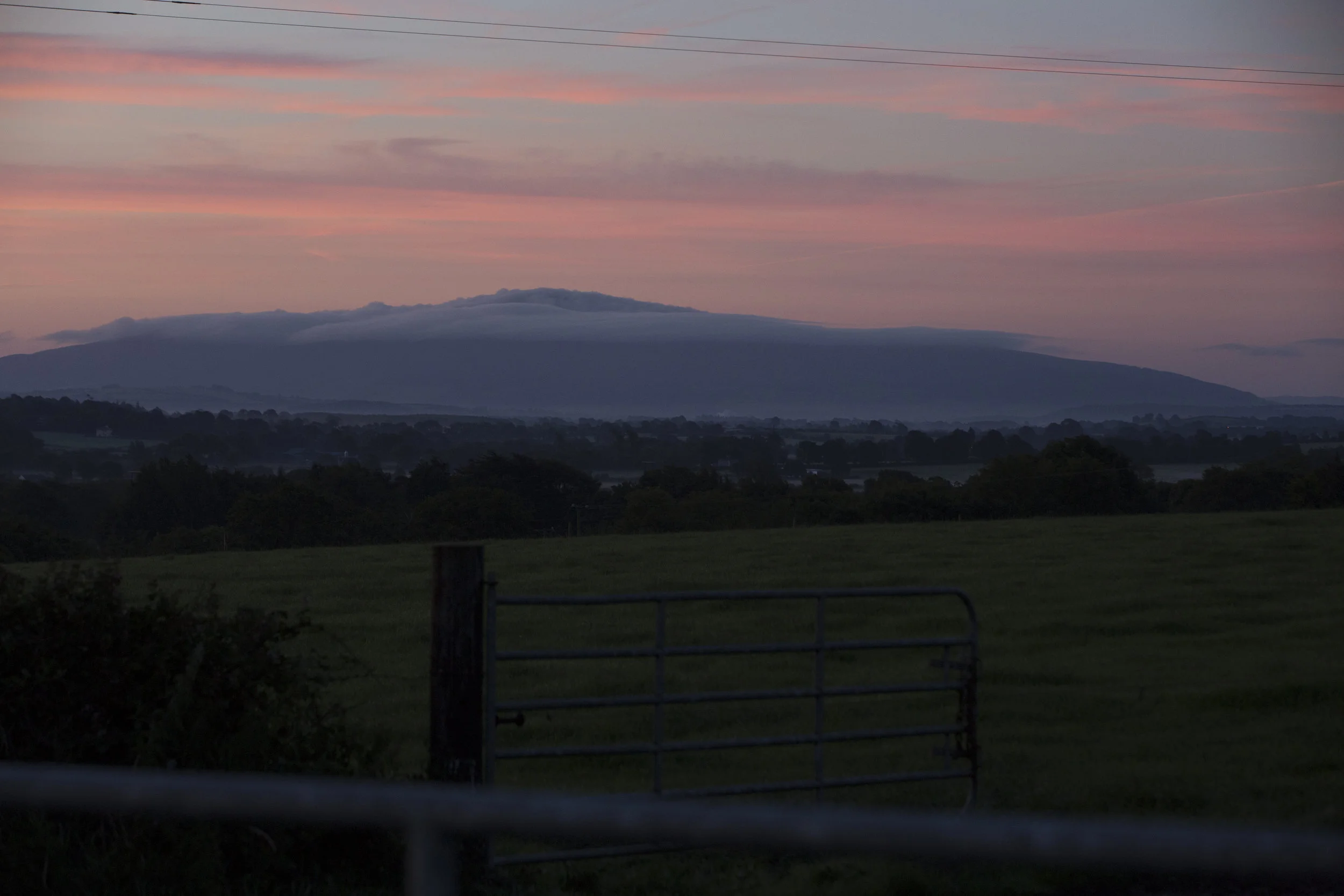 CMK_6_QMA_Tipperary_Thornton_002.jpg