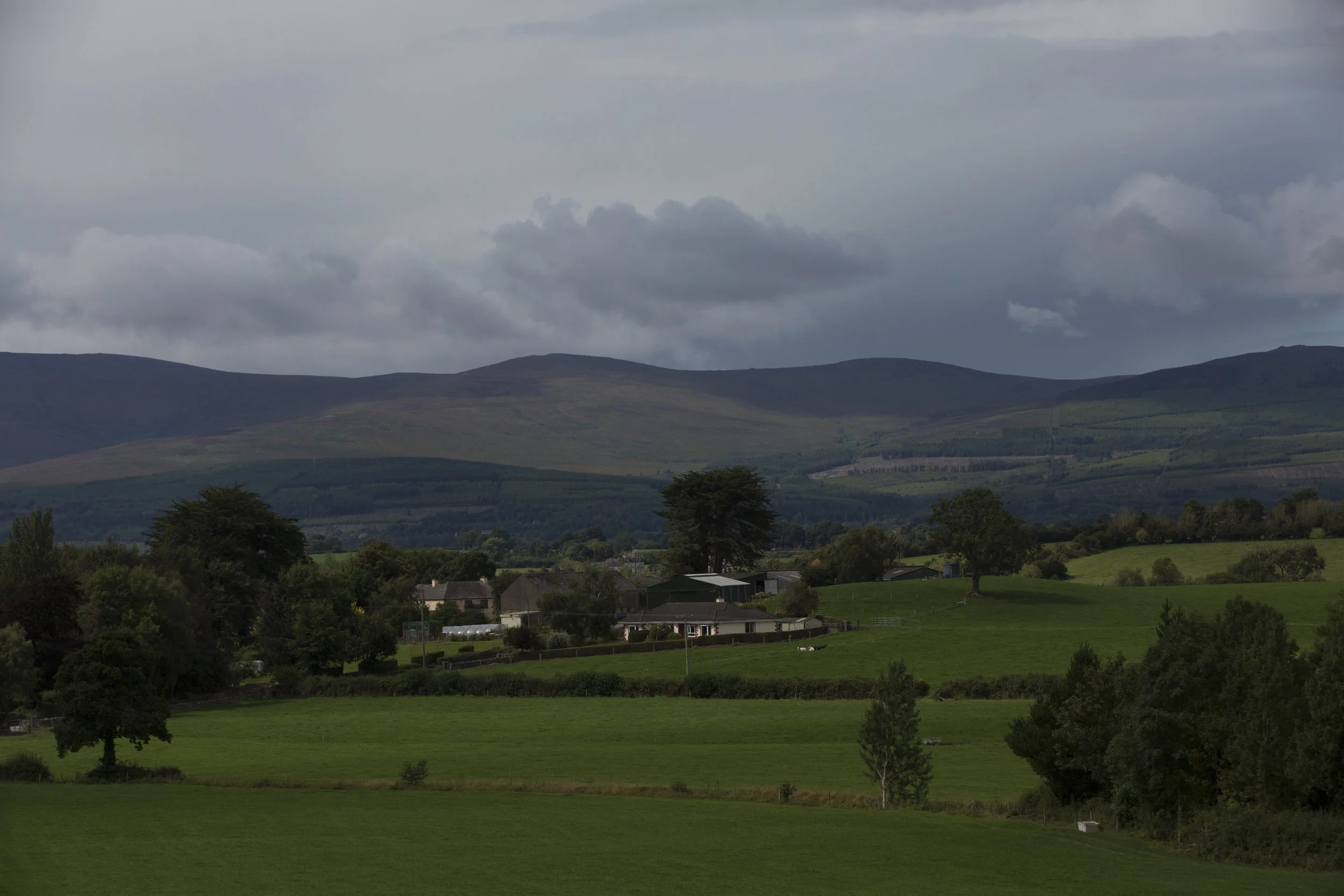 CMK_4_QMA_Tipperary_Walsh_001.jpg