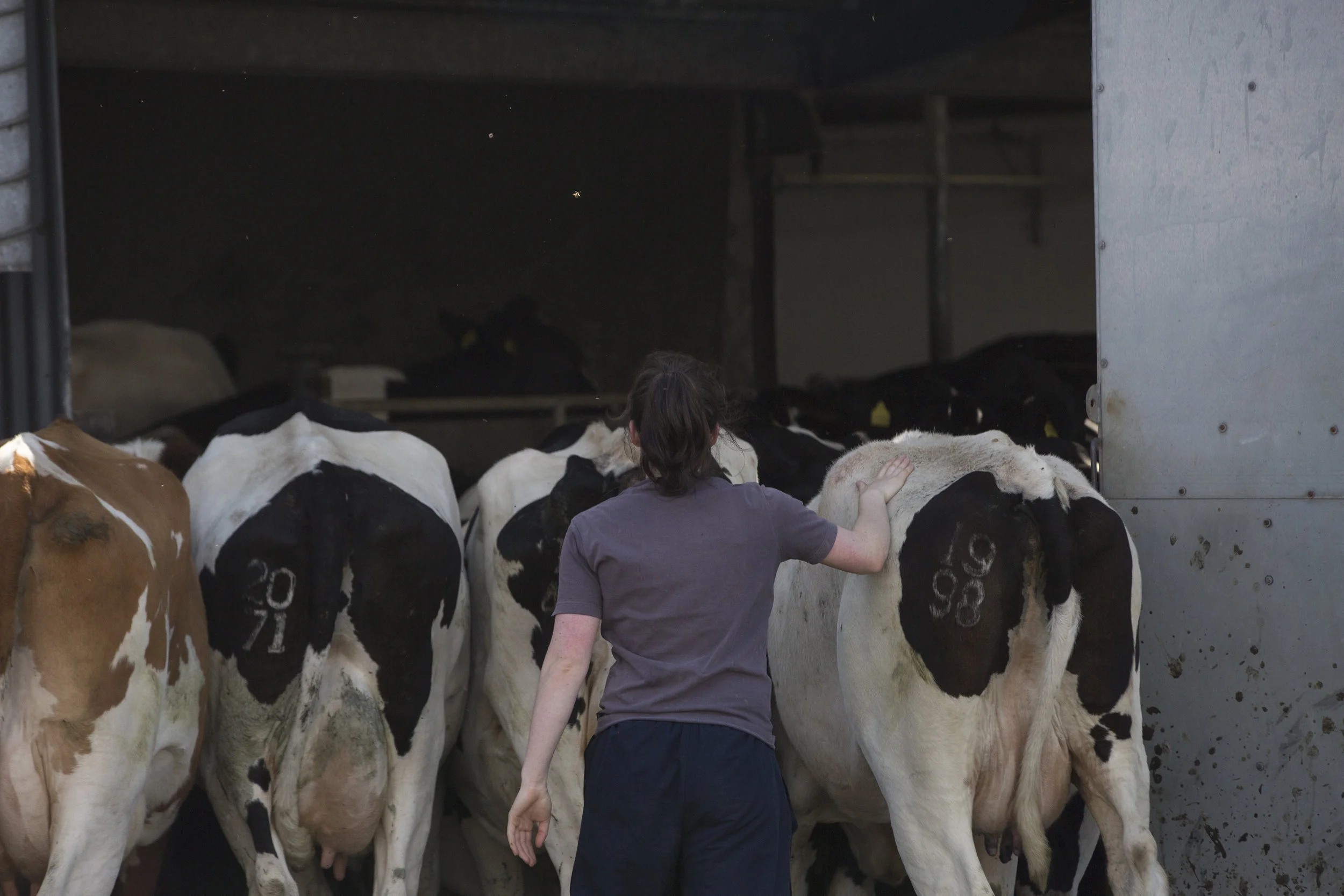 “The attention to detail is something that everyone on this farm takes pride in. We believe that if our standards drop, the quality of our product will do likewise”