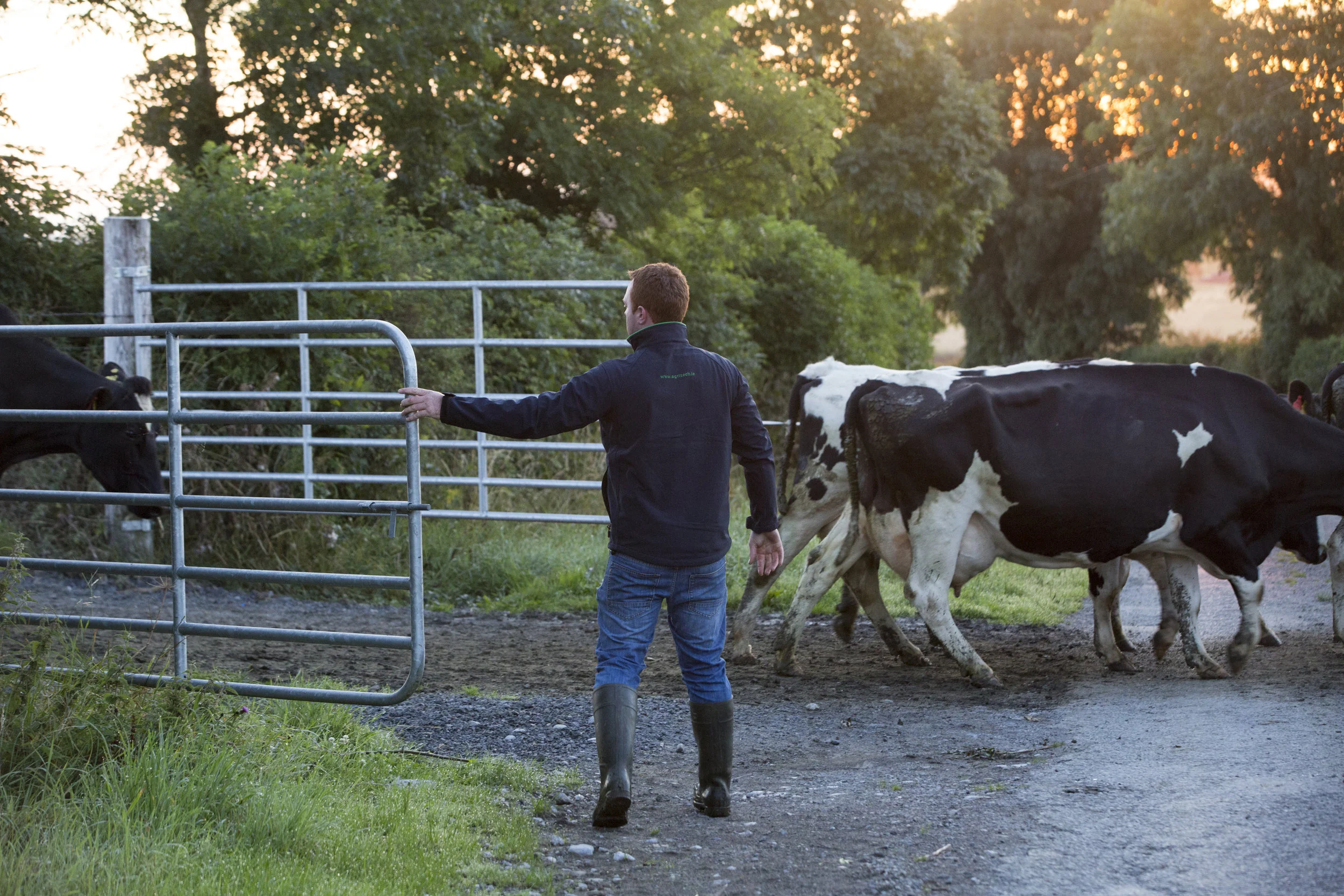 CMK_6_QMA_Tipperary_Thornton_032.jpg