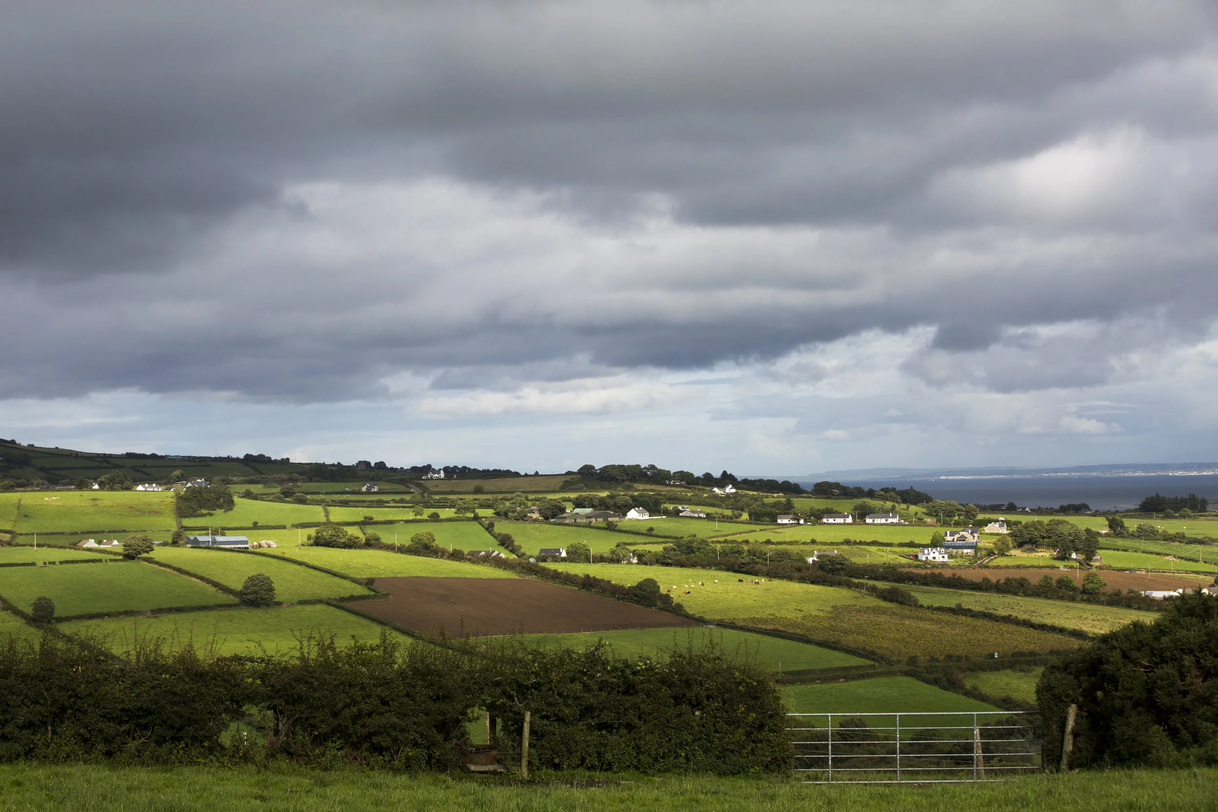 CMK_11_QMA_11_QMA_Donegal_Lynch_001.jpg