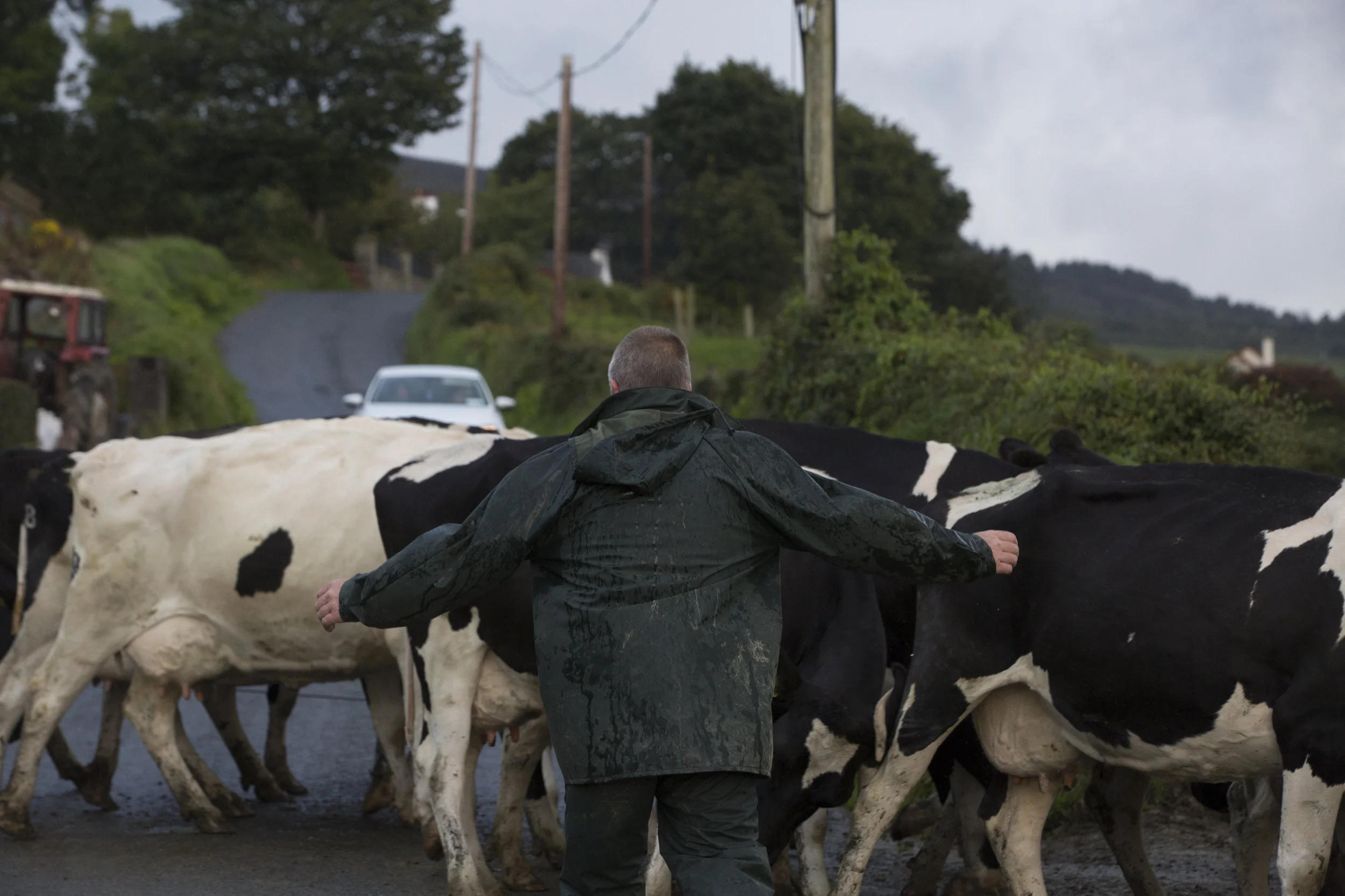 CMK_11_QMA_11_QMA_Donegal_Lynch_094.jpg