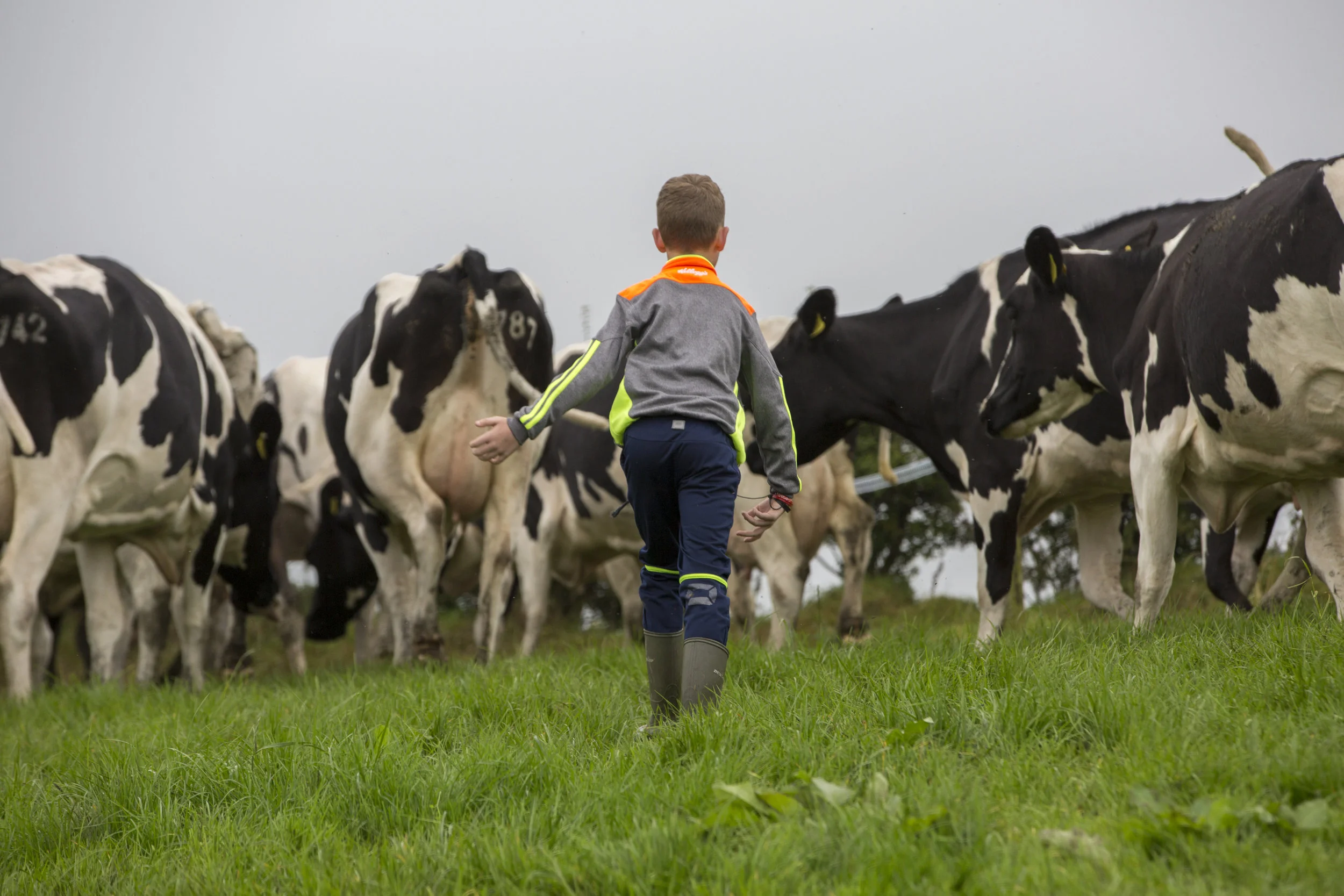 “I want to manage my farm in a manner that will leave it in a condition suitable for profitable farming for the next generation”