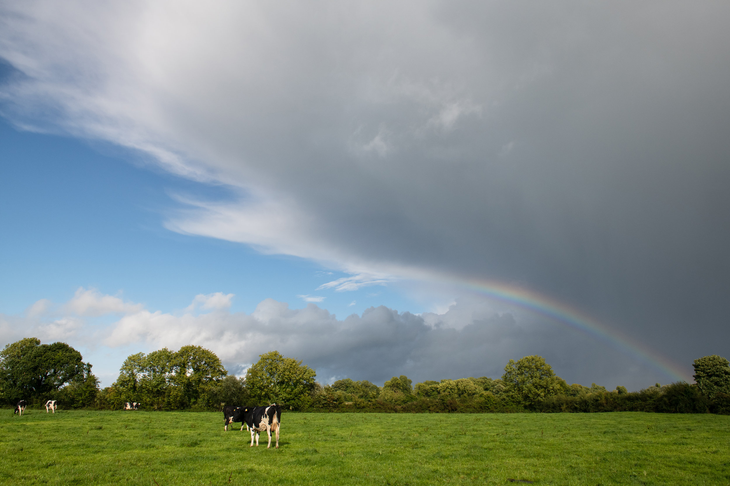 9 LONGFORD John104.jpg