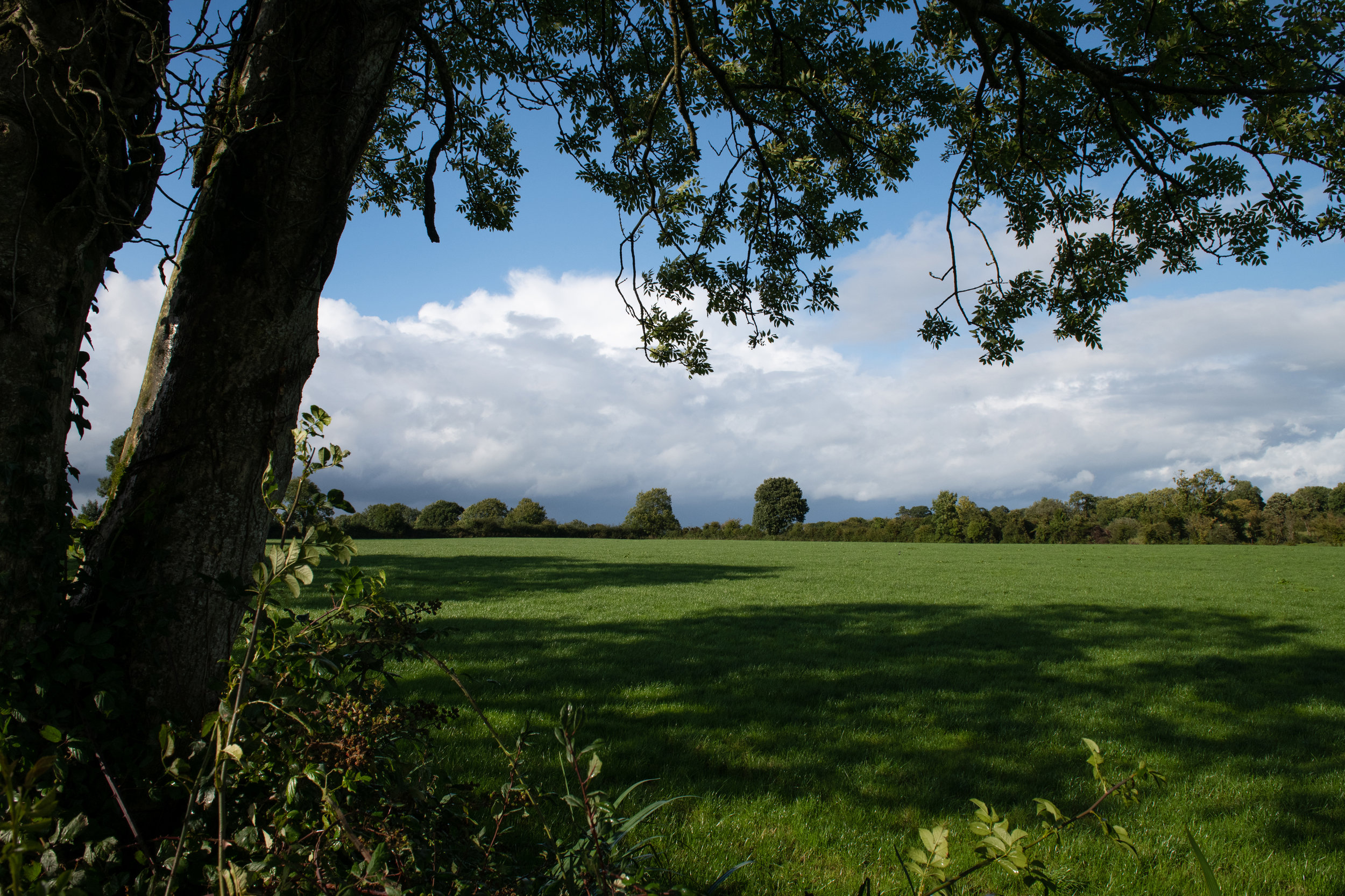 9 LONGFORD John114.jpg