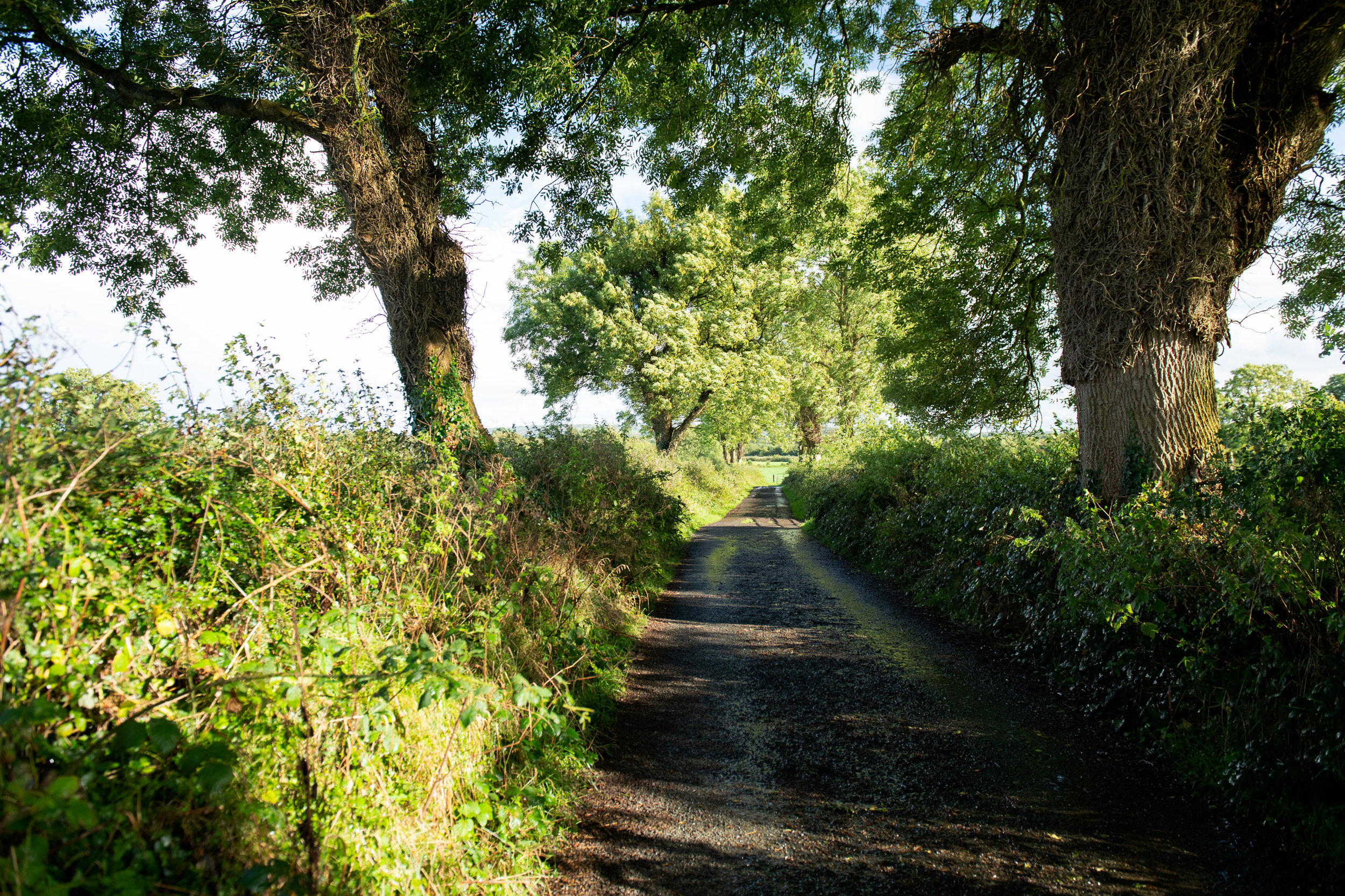 9 LONGFORD John111.jpg