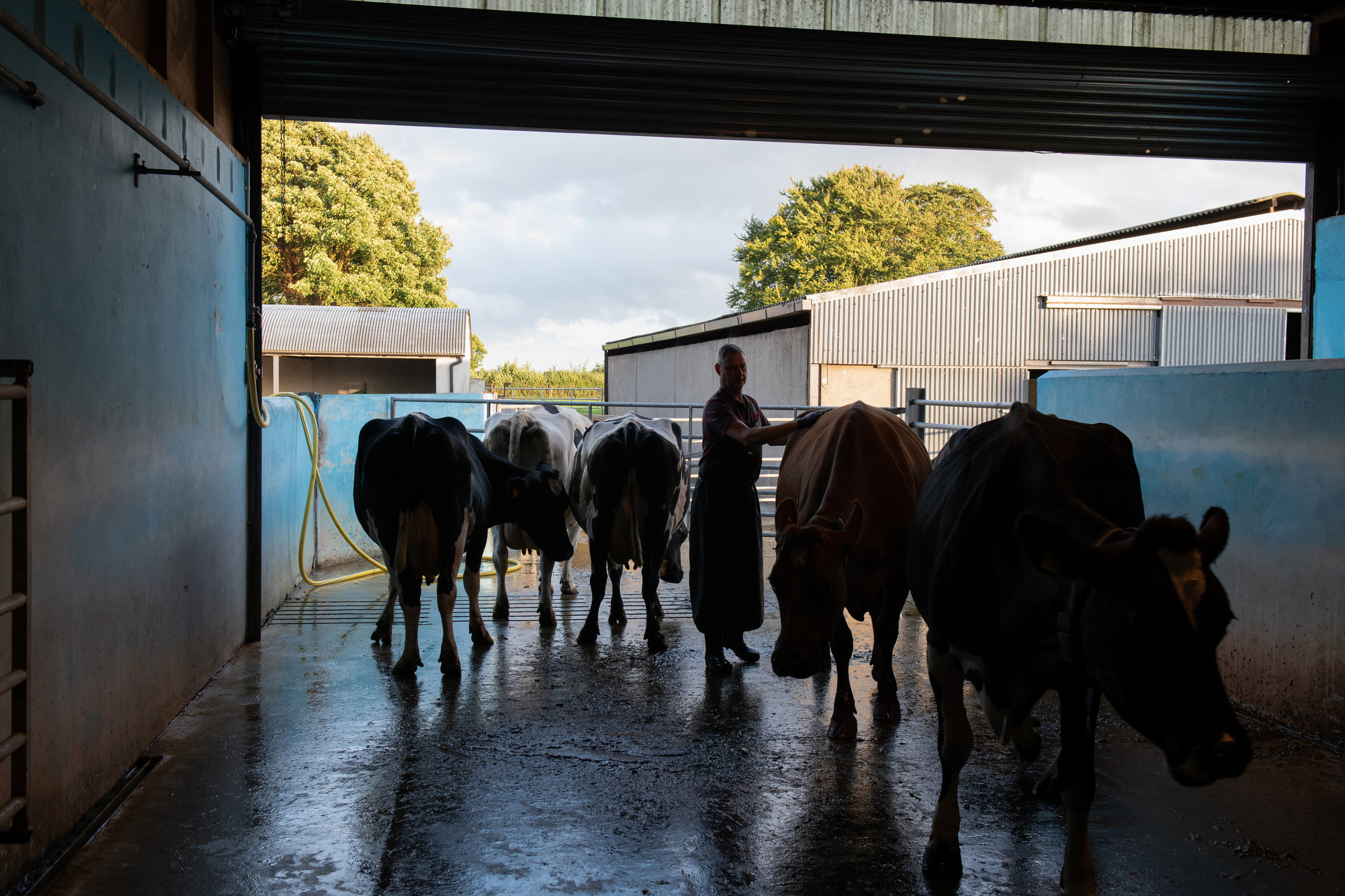 9 LONGFORD John136.jpg