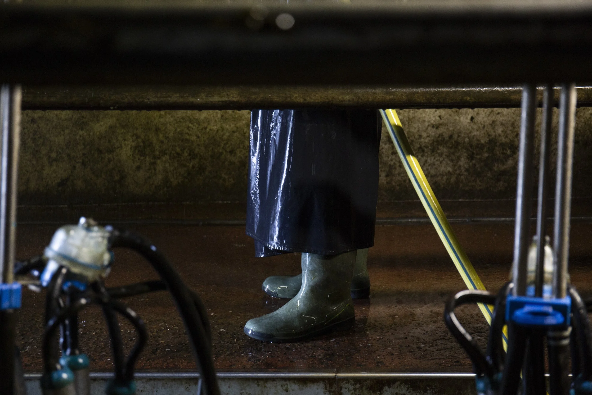 CMK_10_Arrabawn_Albie Ryan_Cappawhite_Tipperary0089-min.jpg