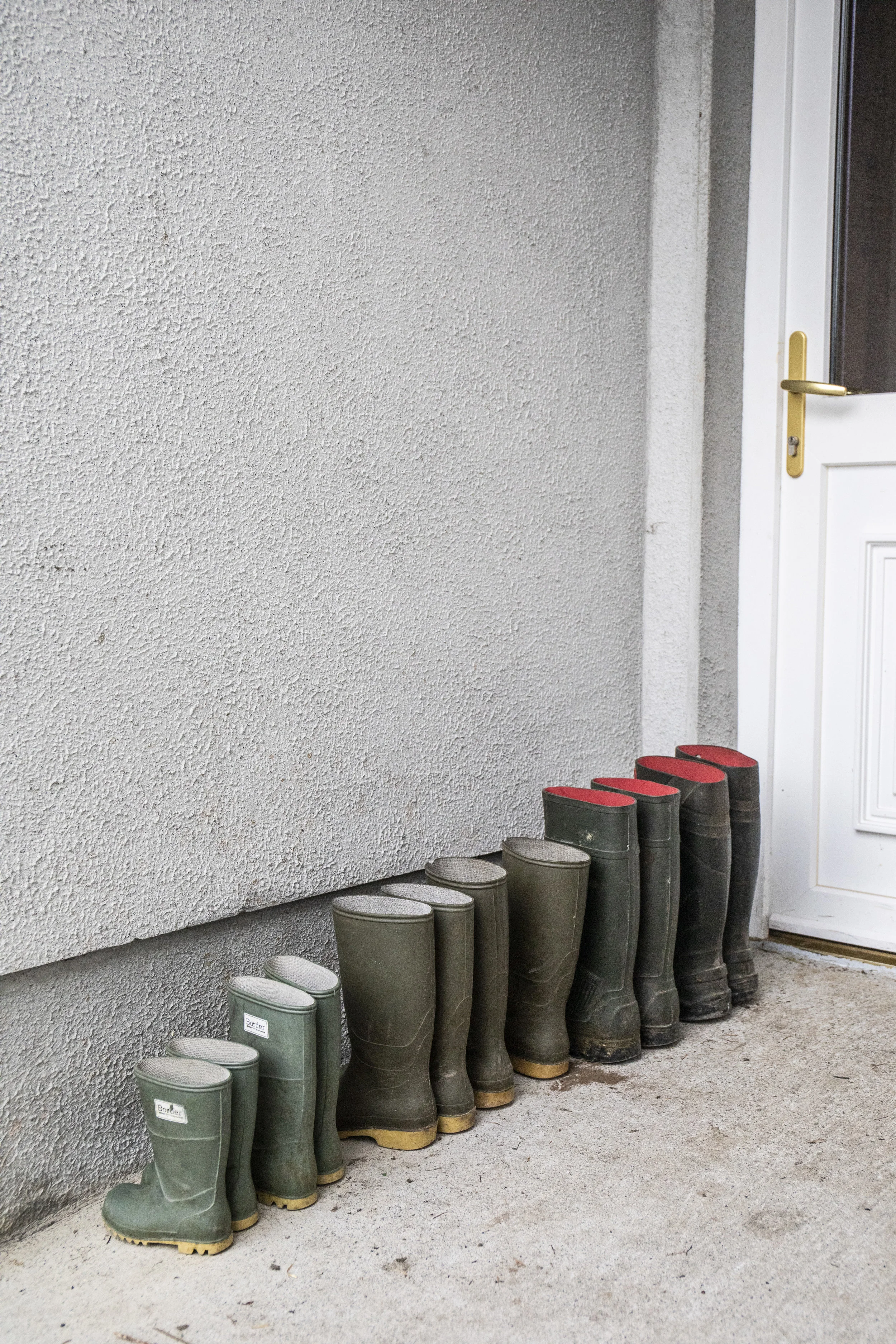 11_Michael Gunn_Aurivo_Stokestown_Roscommon_0137.jpg