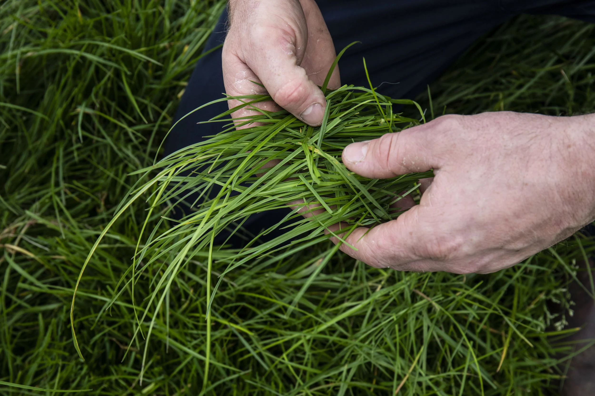  “We are the seventh generation on the same farm. It’s important that we maintain the land.” 