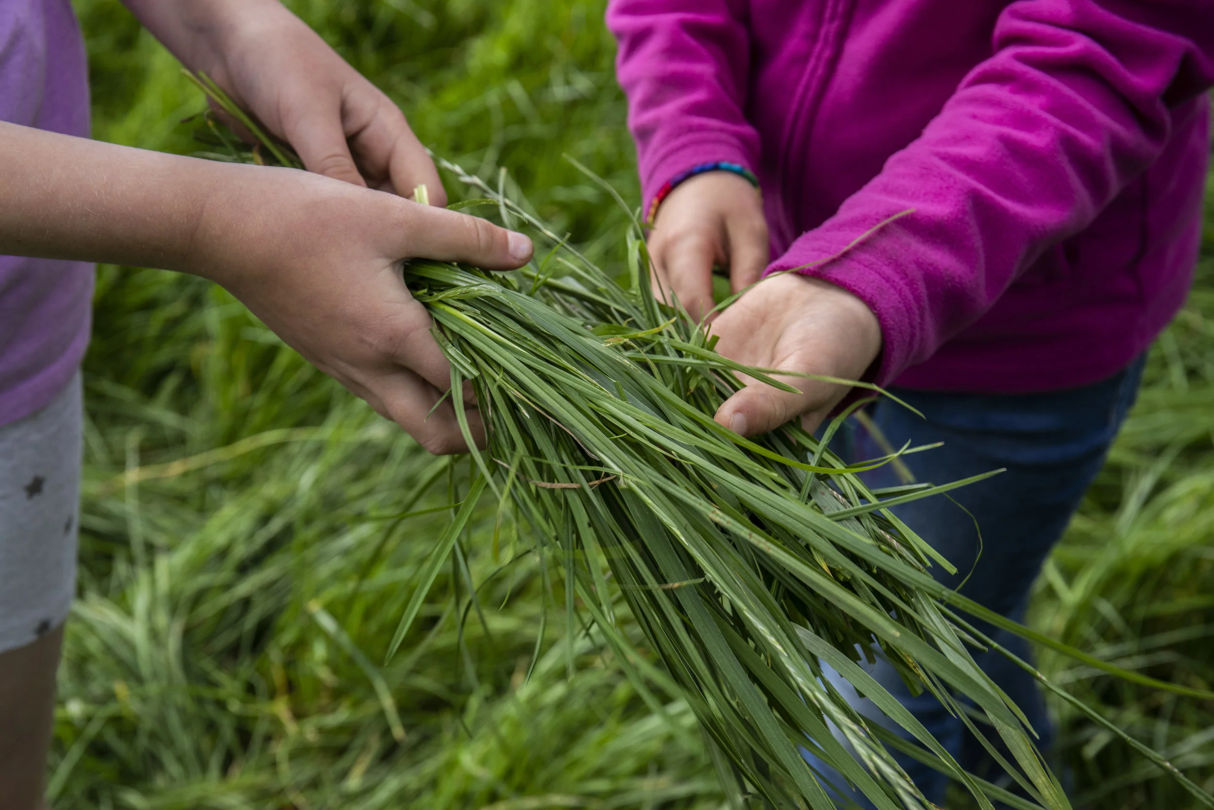 CMK_13_Aurivo Co-op_Charles McCandless__Culdaff_Donegal_0106.jpg