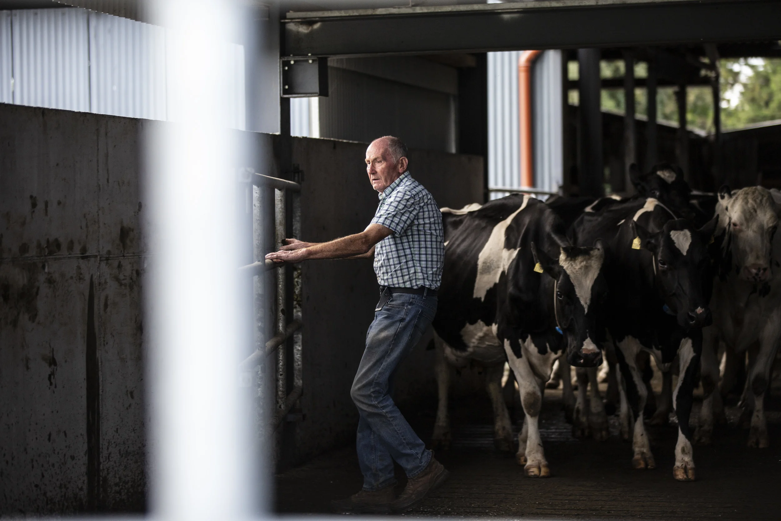 11_Michael Gunn_Aurivo_Stokestown_Roscommon_0179.jpg