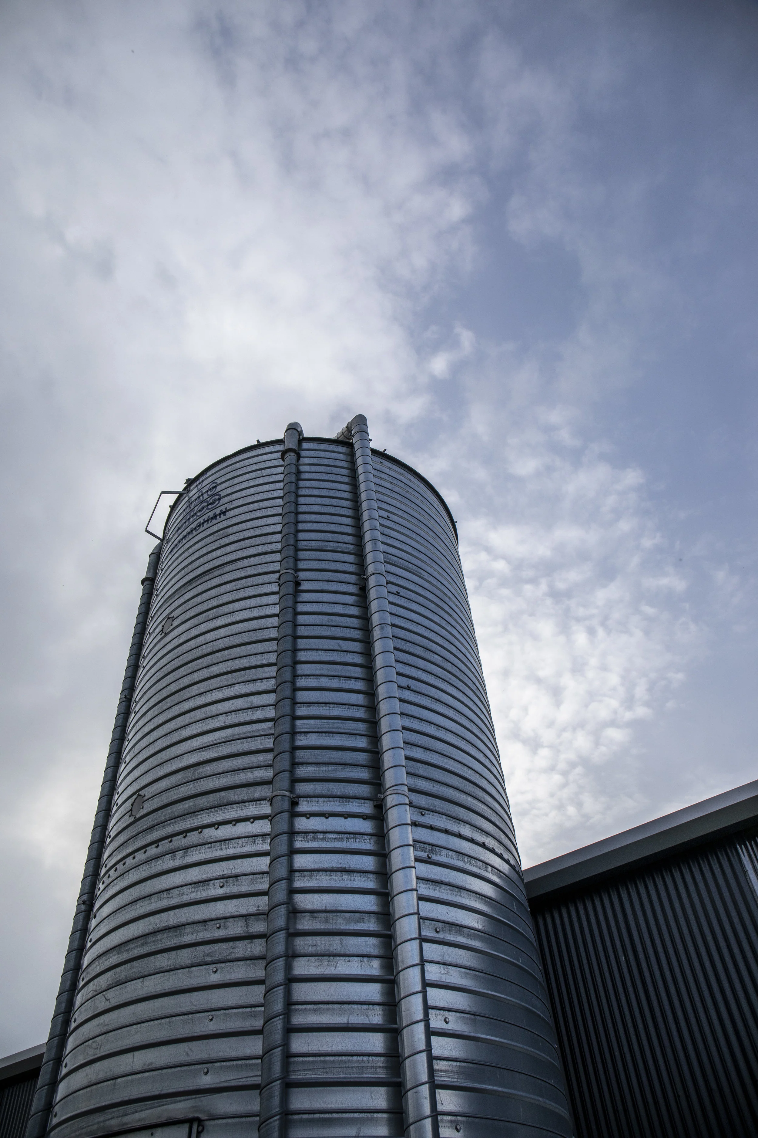 11_Michael Gunn_Aurivo_Stokestown_Roscommon_0180.jpg