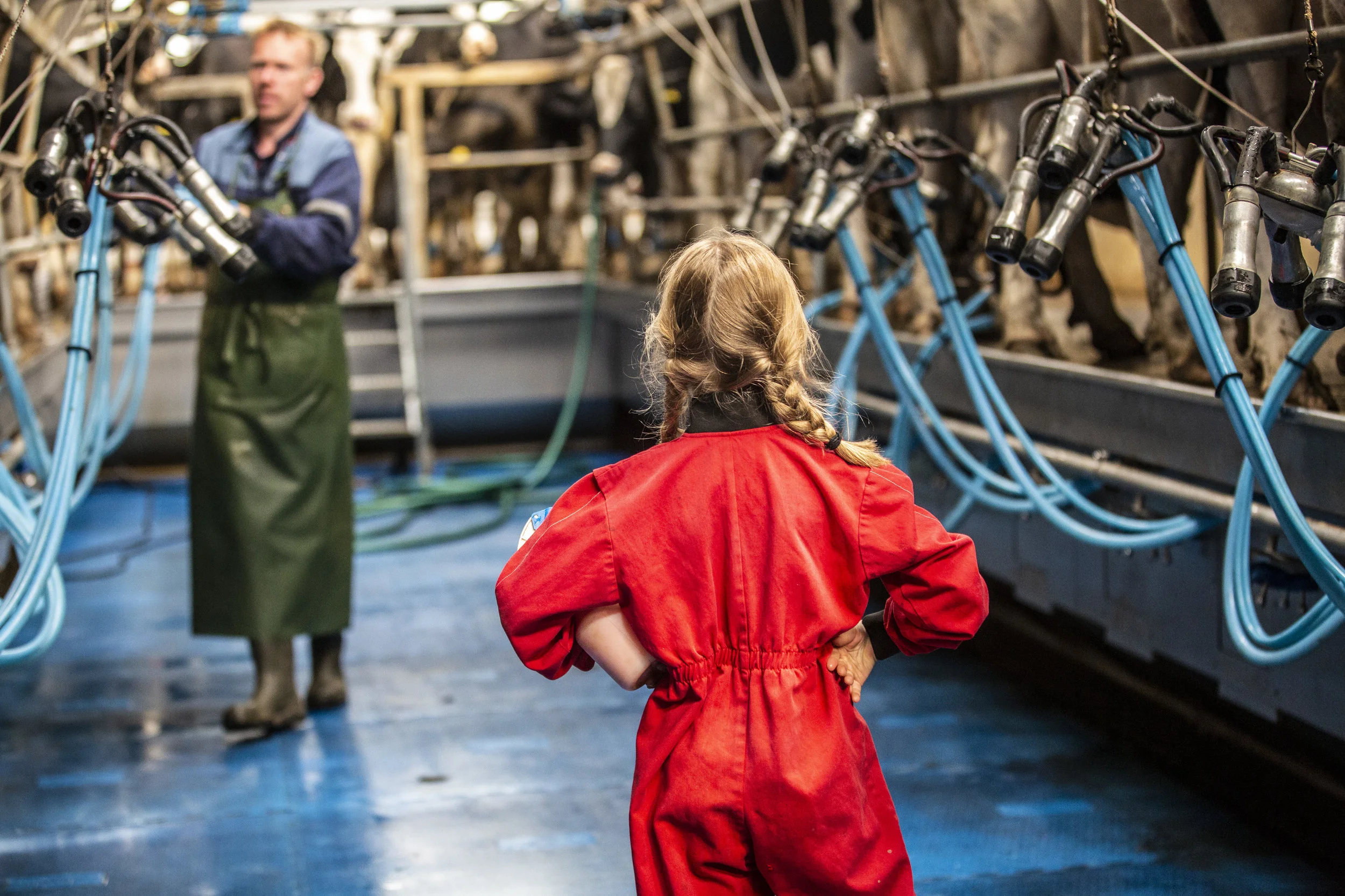 CMK_13_Aurivo Co-op_Charles McCandless__Culdaff_Donegal_0202.jpg