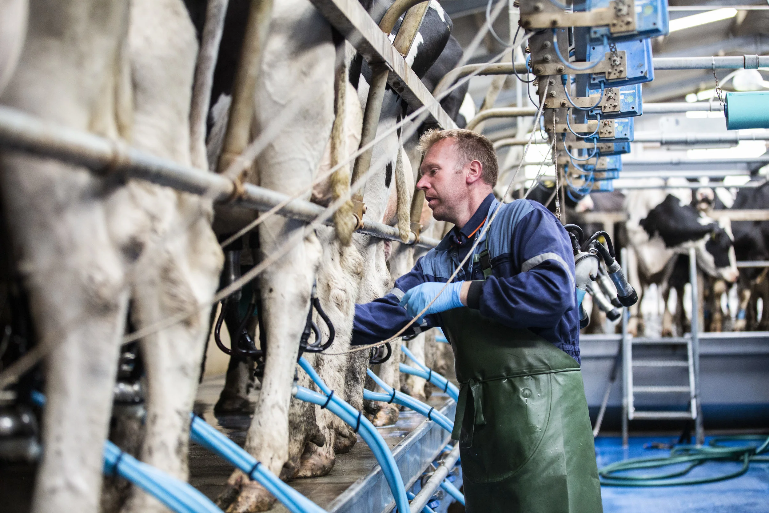  “Never compromise on animal health and welfare” 