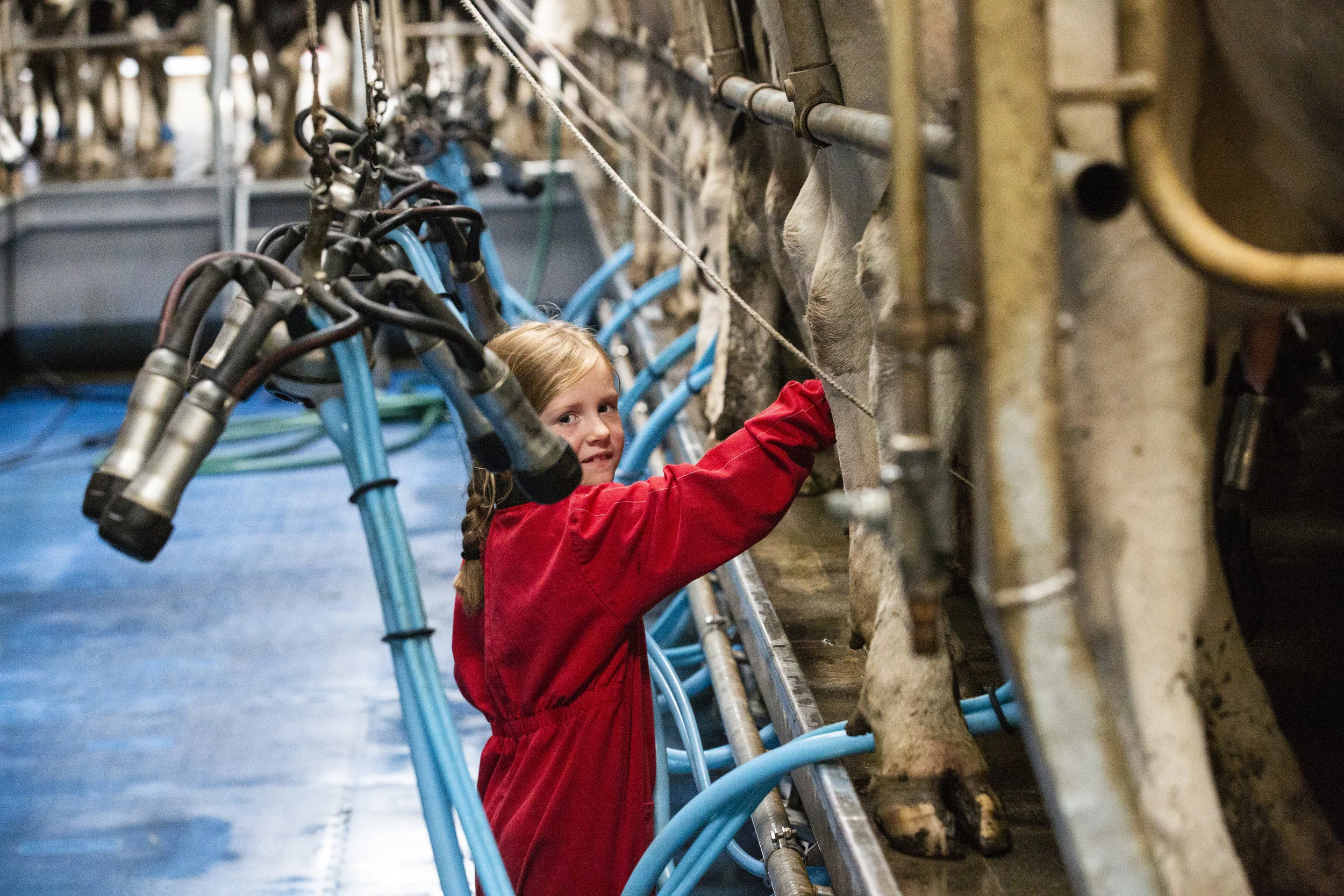 CMK_13_Aurivo Co-op_Charles McCandless__Culdaff_Donegal_0238.jpg