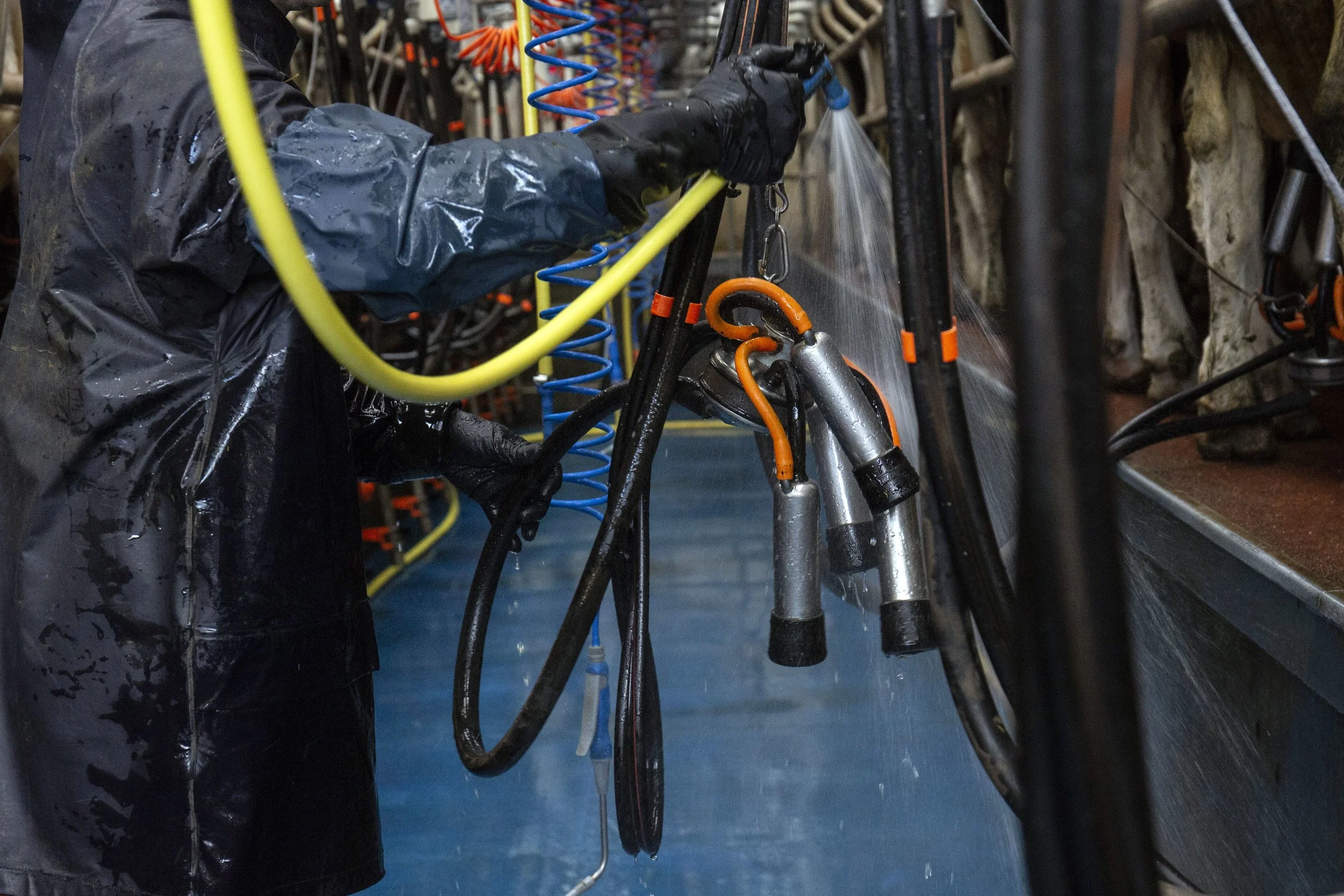 CMK_1_Dermot Walsh_Barryroe_cork__22-min.JPG