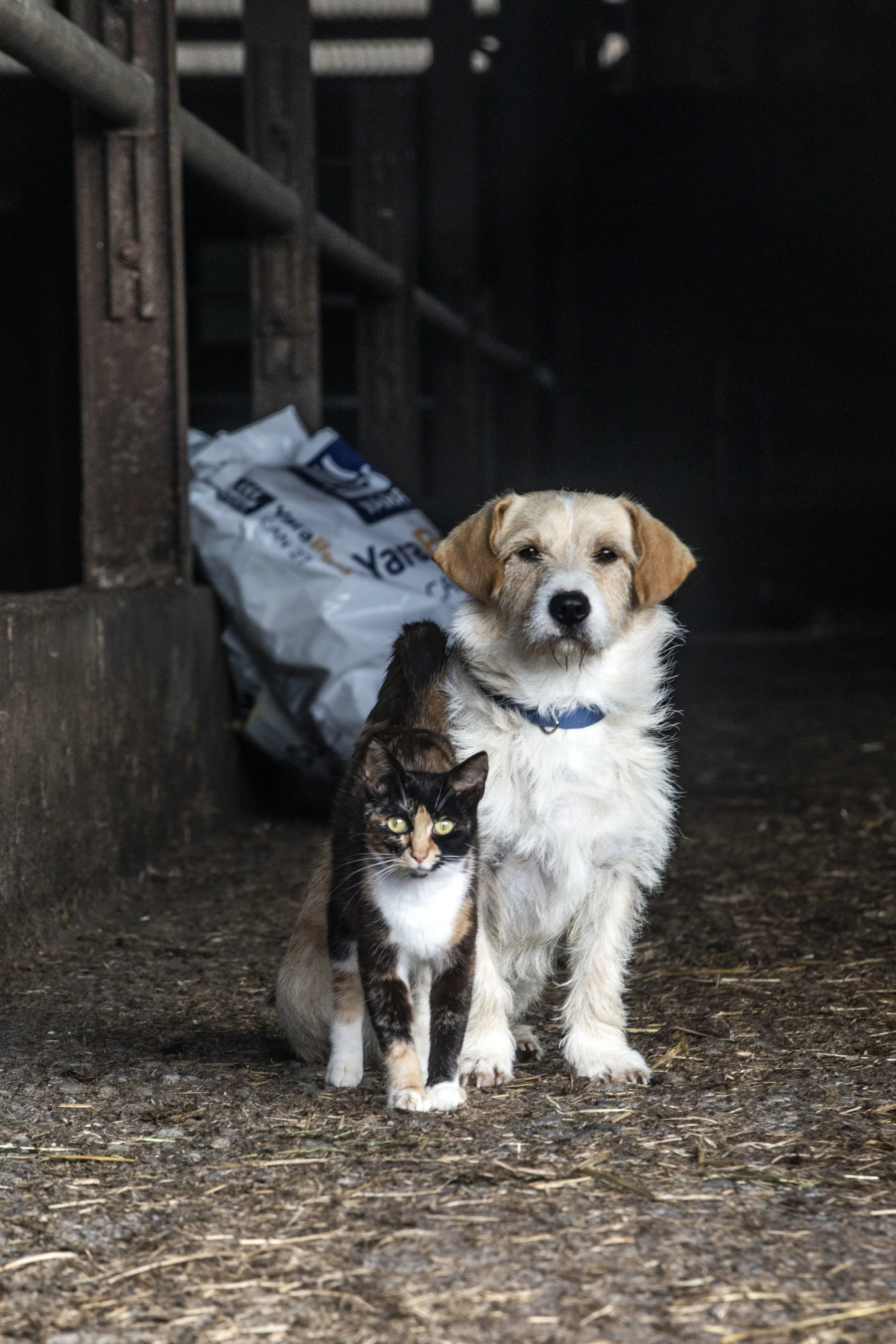 CMK_1_Dermot Walsh_Barryroe_cork__54-min.JPG