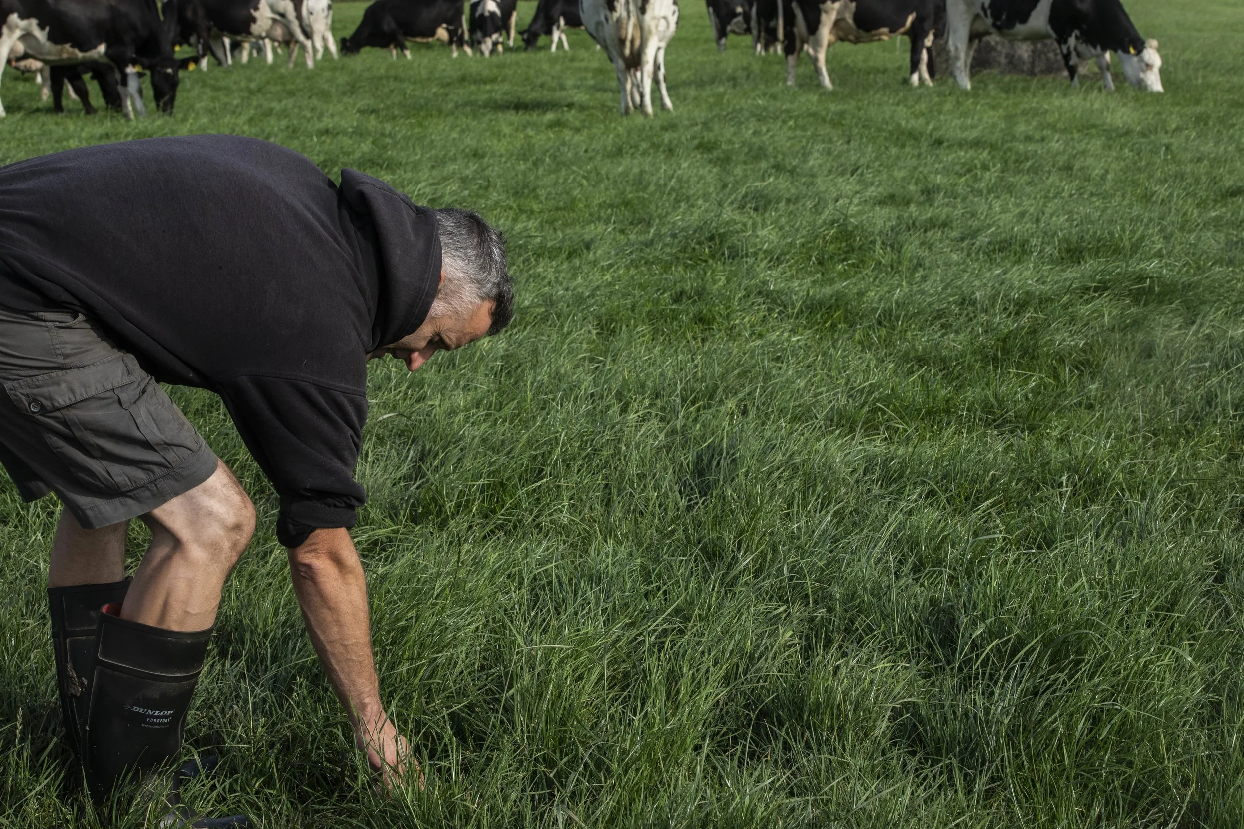 CMK_1_Dermot Walsh_Barryroe_cork__58-min.JPG