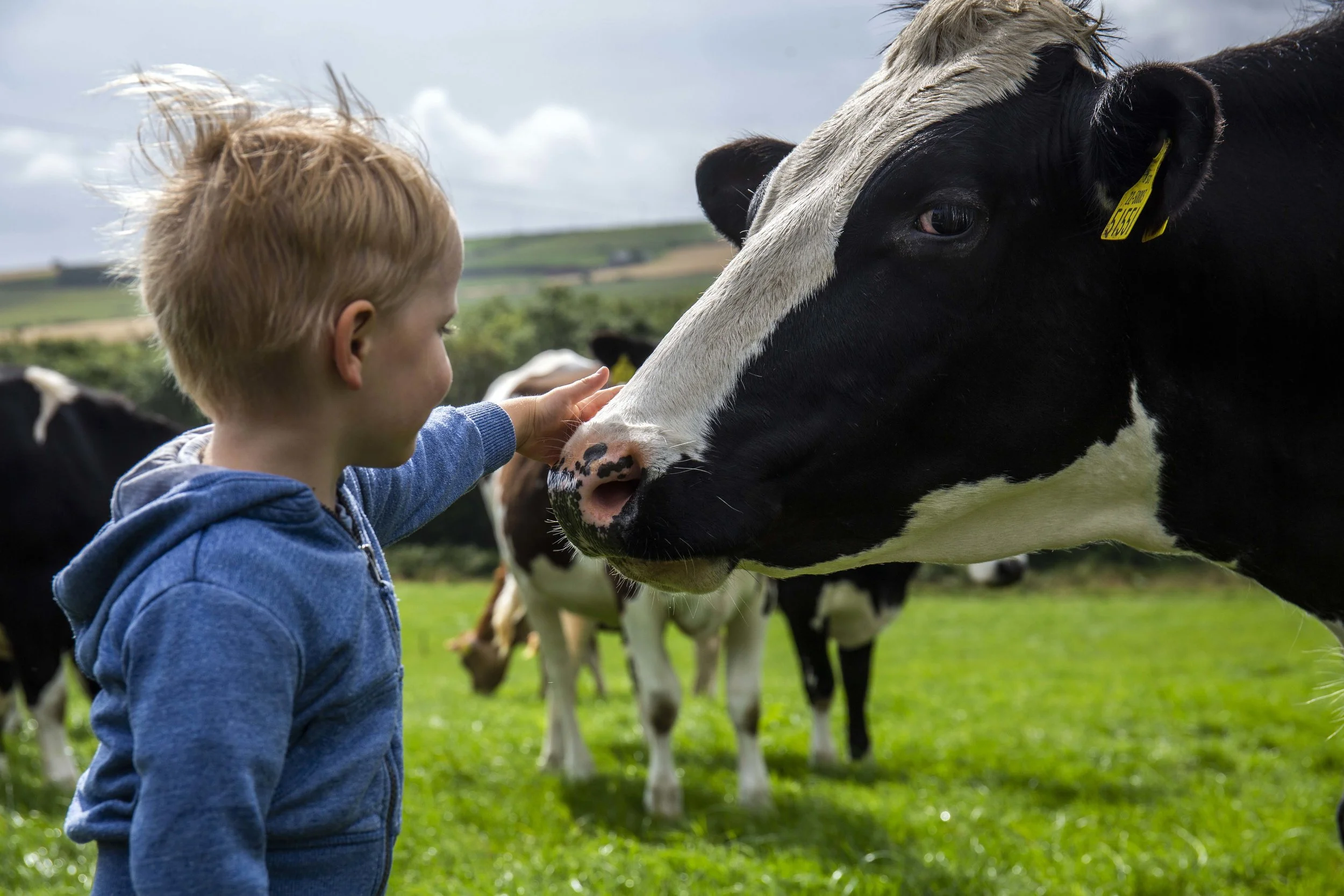 CMK_1_Dermot Walsh_Barryroe_cork__105-min.JPG