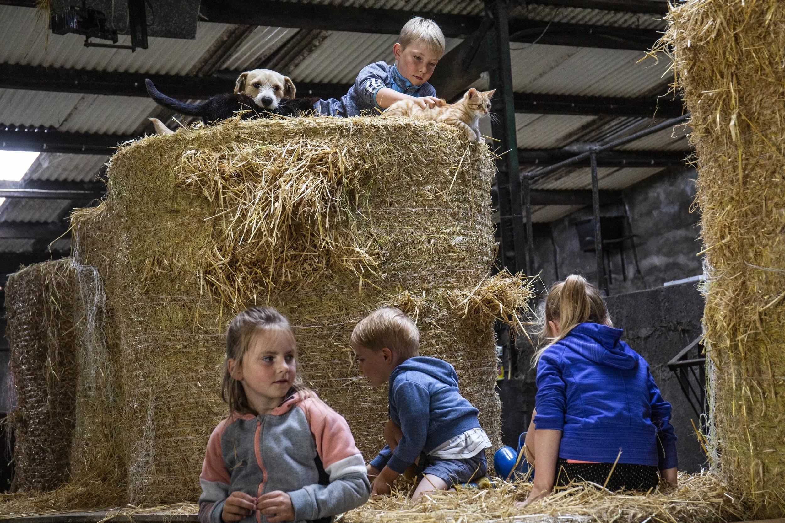 CMK_1_Dermot Walsh_Barryroe_cork__125-min.JPG