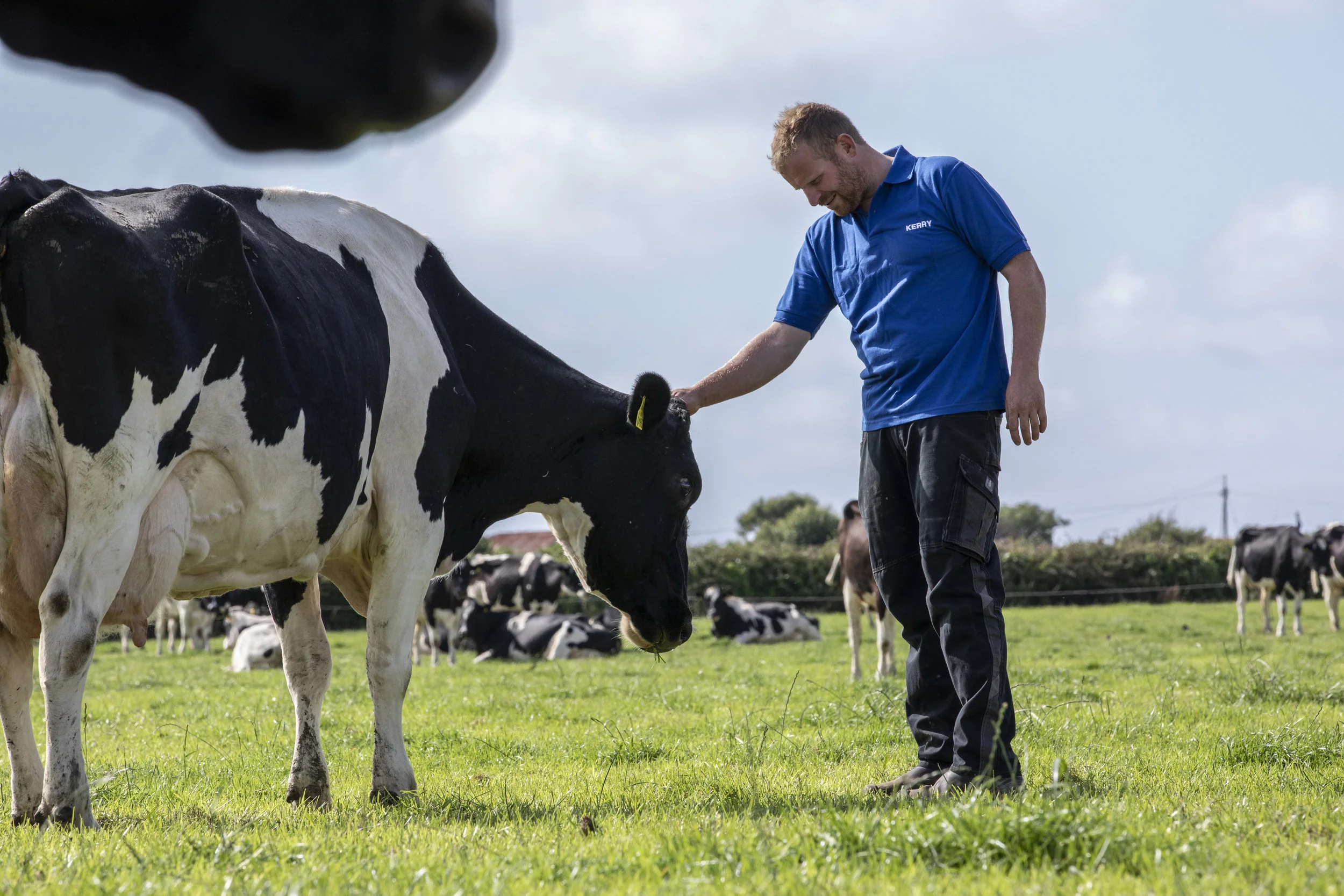 “I was brought up milking cows on the family farm. I couldn’t imagine doing anything else”