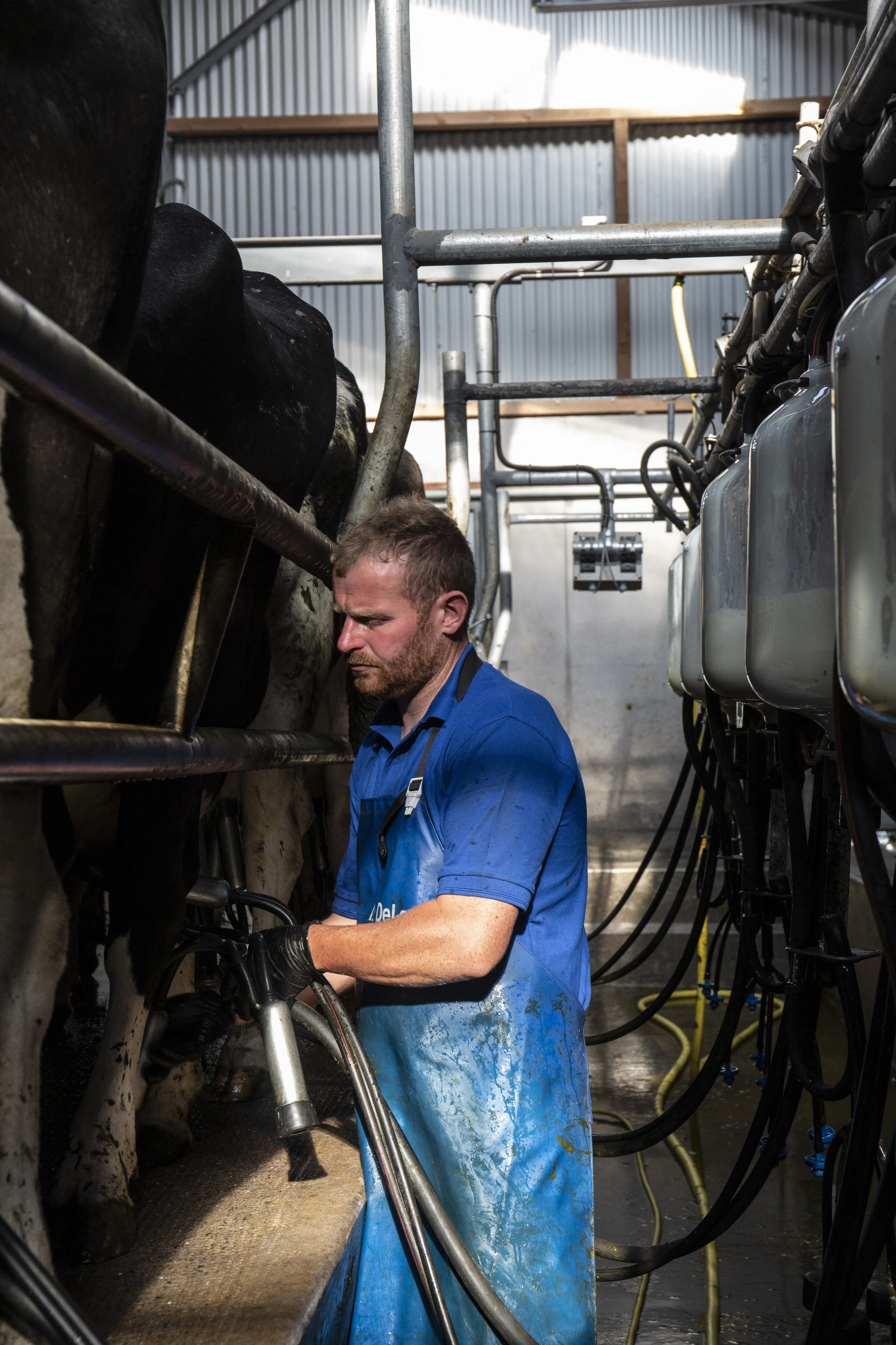 CMK_5_Kerry Agribusiness_Stack_Joe_TJ_Ardfert_Kerry_0095.jpg