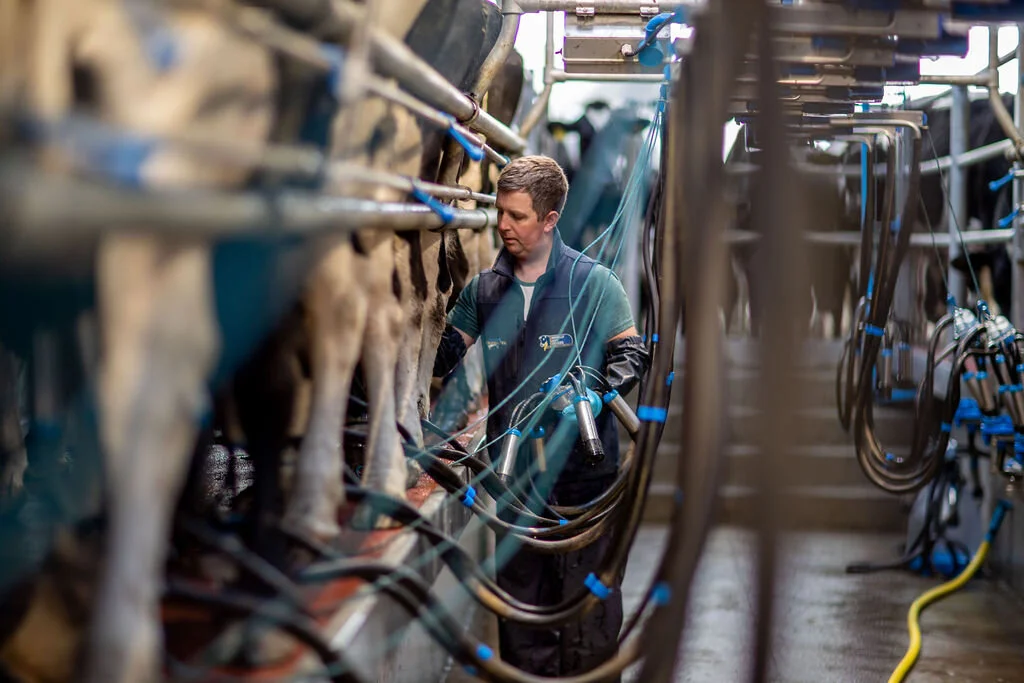  “I don’t like getting up at that early time in the morning, but when I’m in the parlour 10 minutes later I don’t mind it at all” 