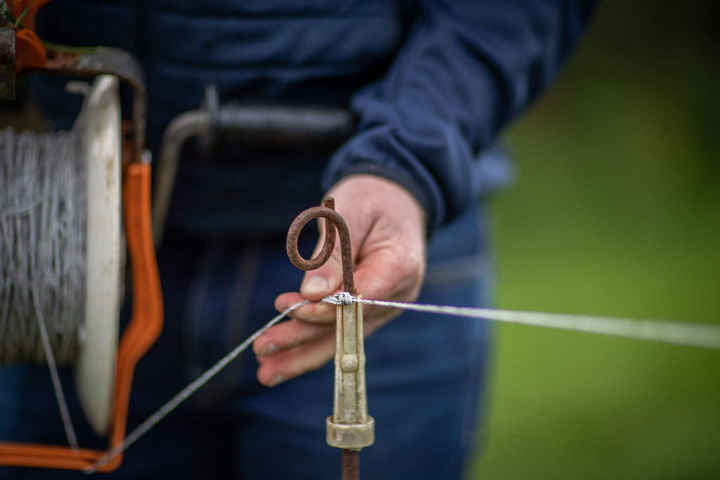  “I enjoy keeping an eye on all the cows and the farm itself” 