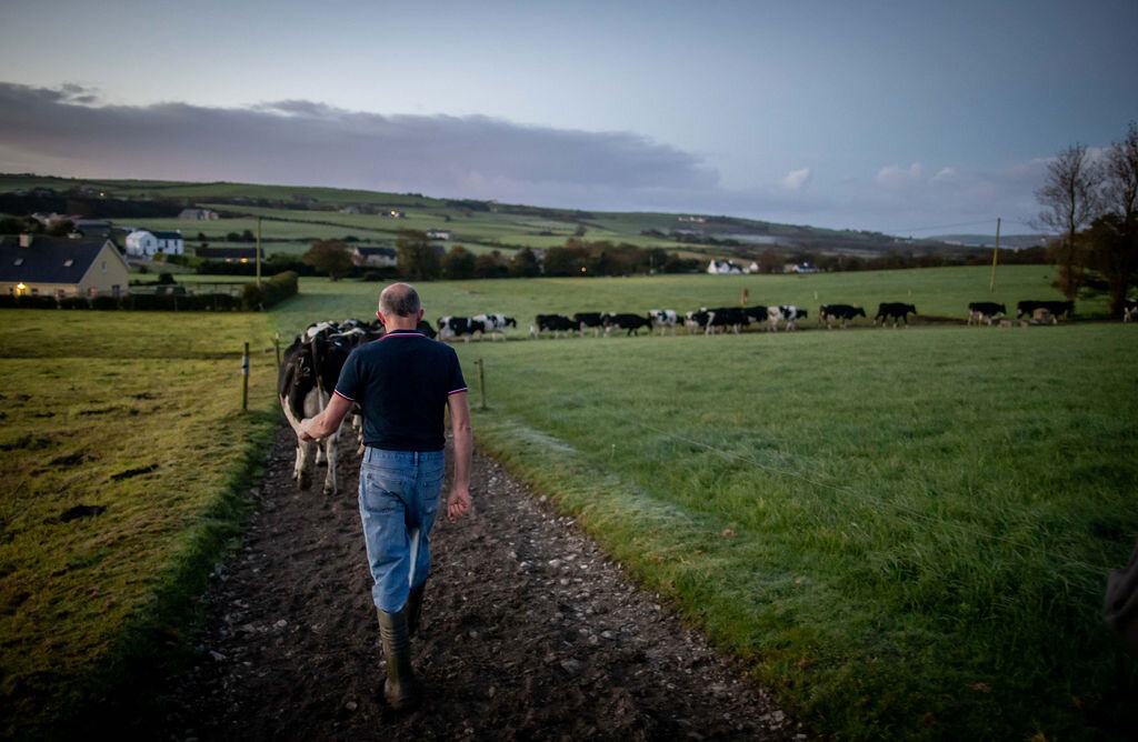  “There is a great level of cooperation between farmers… it can be isolating so it’s important to get out and share ideas and offload problems” 