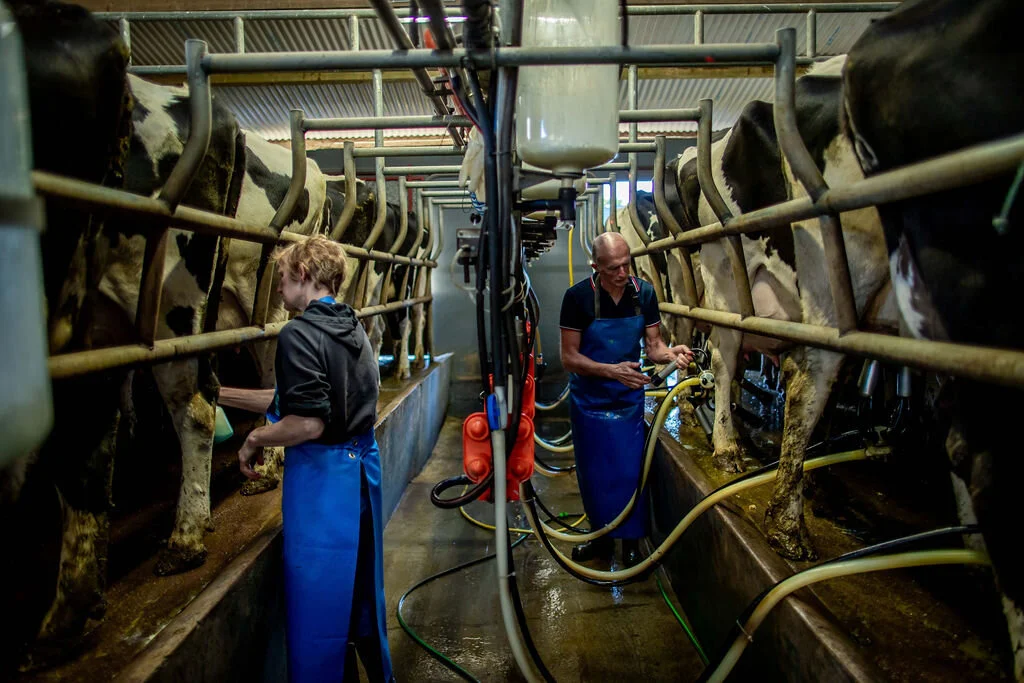  “Our family is sixth generation; we can trace it back that far “  