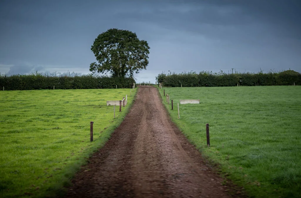  “Once you learn you can’t do everything yourself, it’s a big step” 