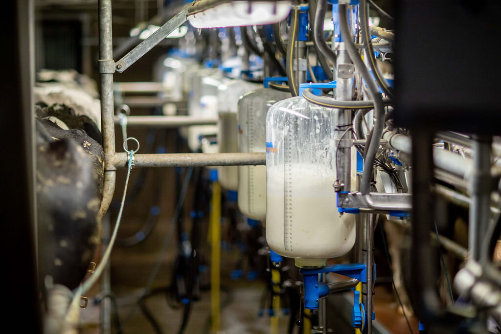  “There is no such thing as a typical day” 