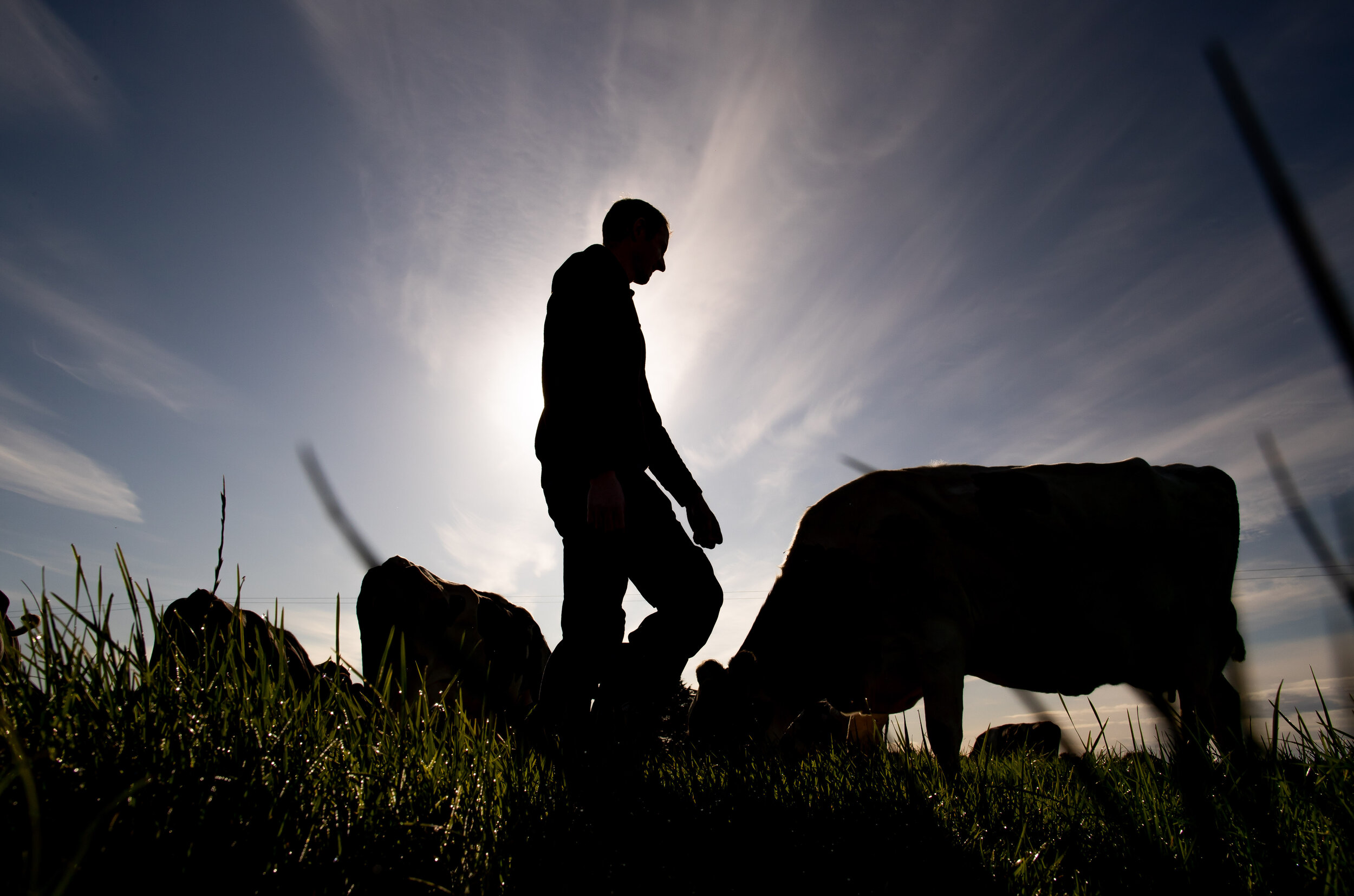 The ‘Oscars of the Dairy World’ announces 2020 finalists 