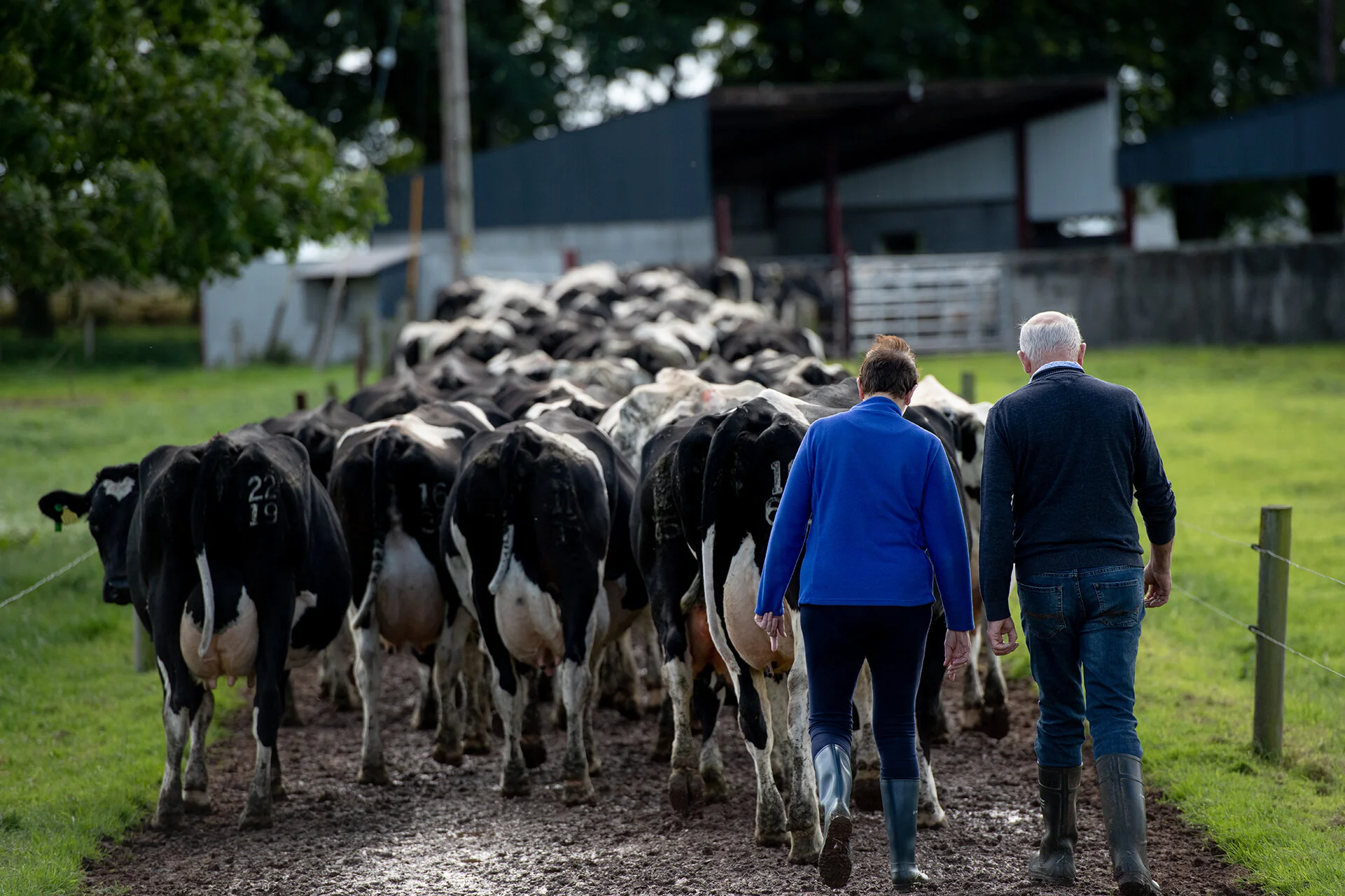 ‘We love our work – my work was never a job’