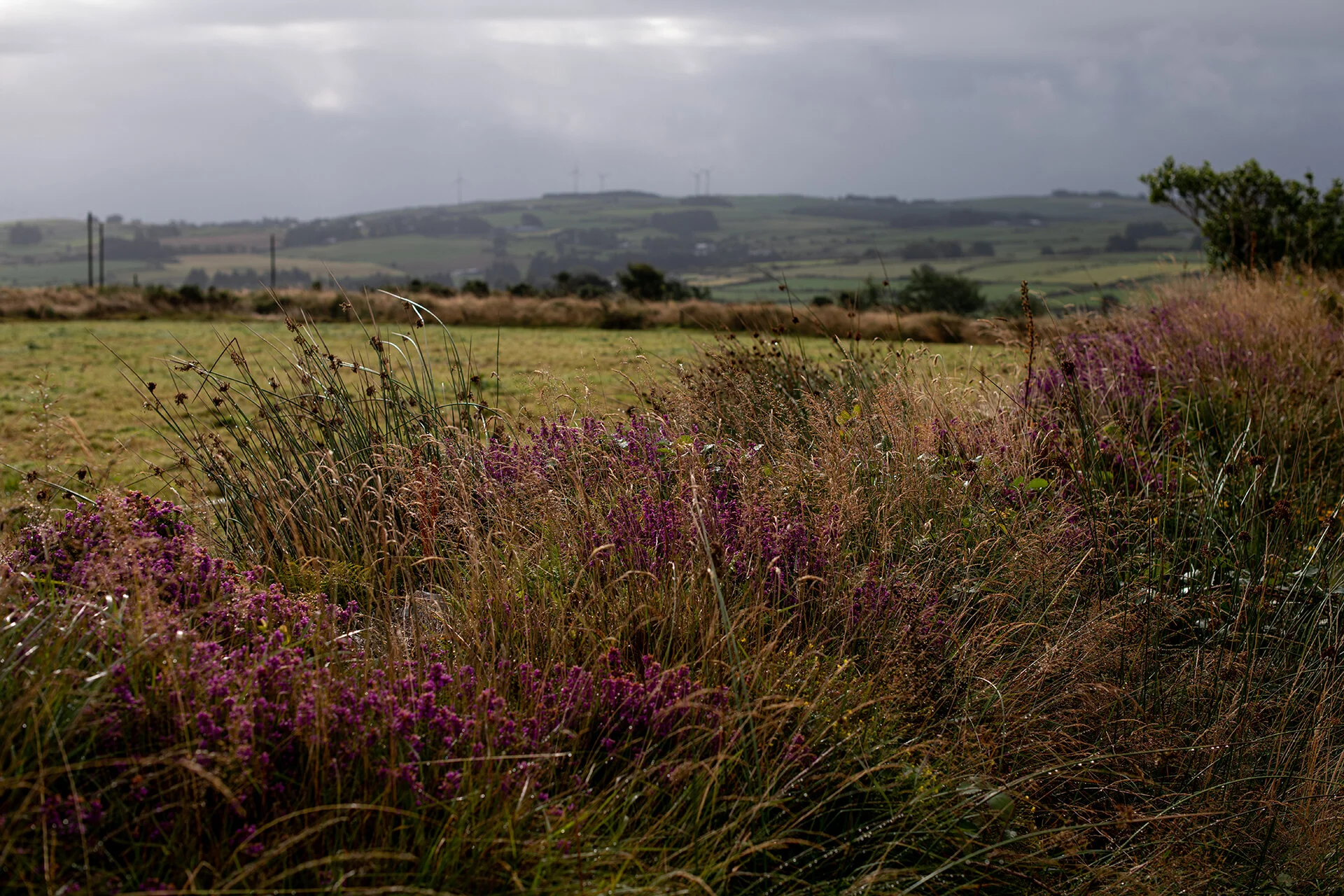 12 farming families announced as finalists for this year’s ‘Oscars of the Dairy World’