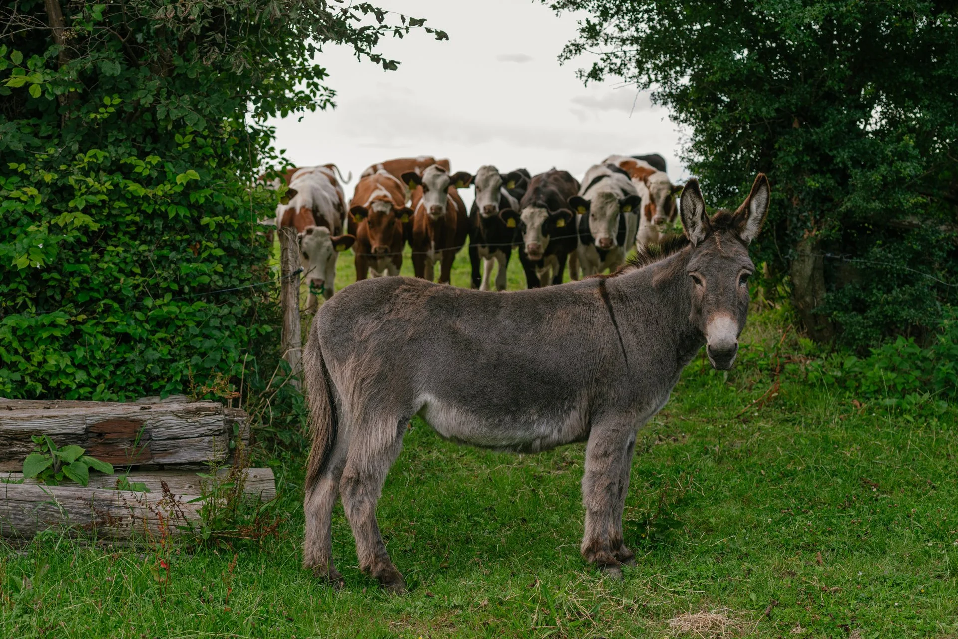 10Cork Tony and Ita544.jpg