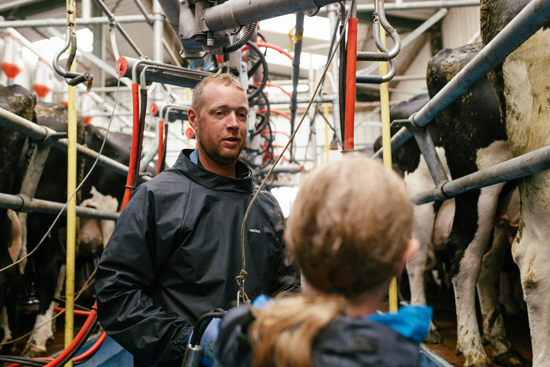‘There’s any amount of advice out there, it’s using the advice that suits you that matters’