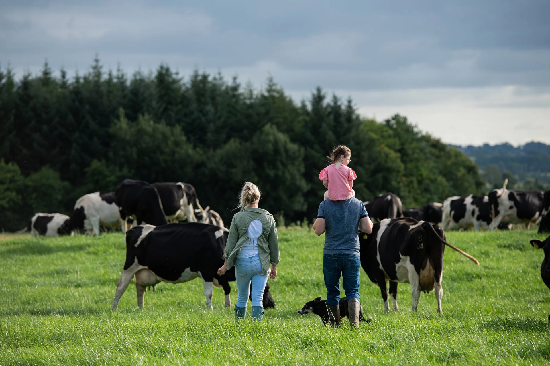 6Limerick Gearoid and Sarah381.jpg