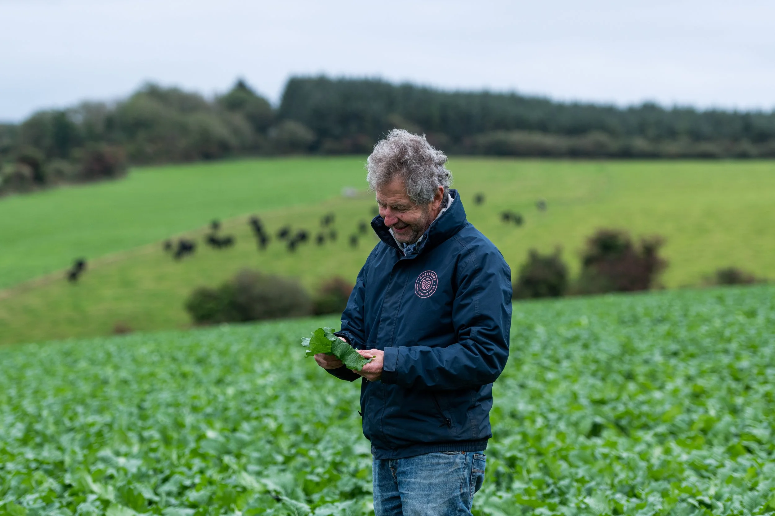 QMA23_Dower_Co Waterford_218.jpg