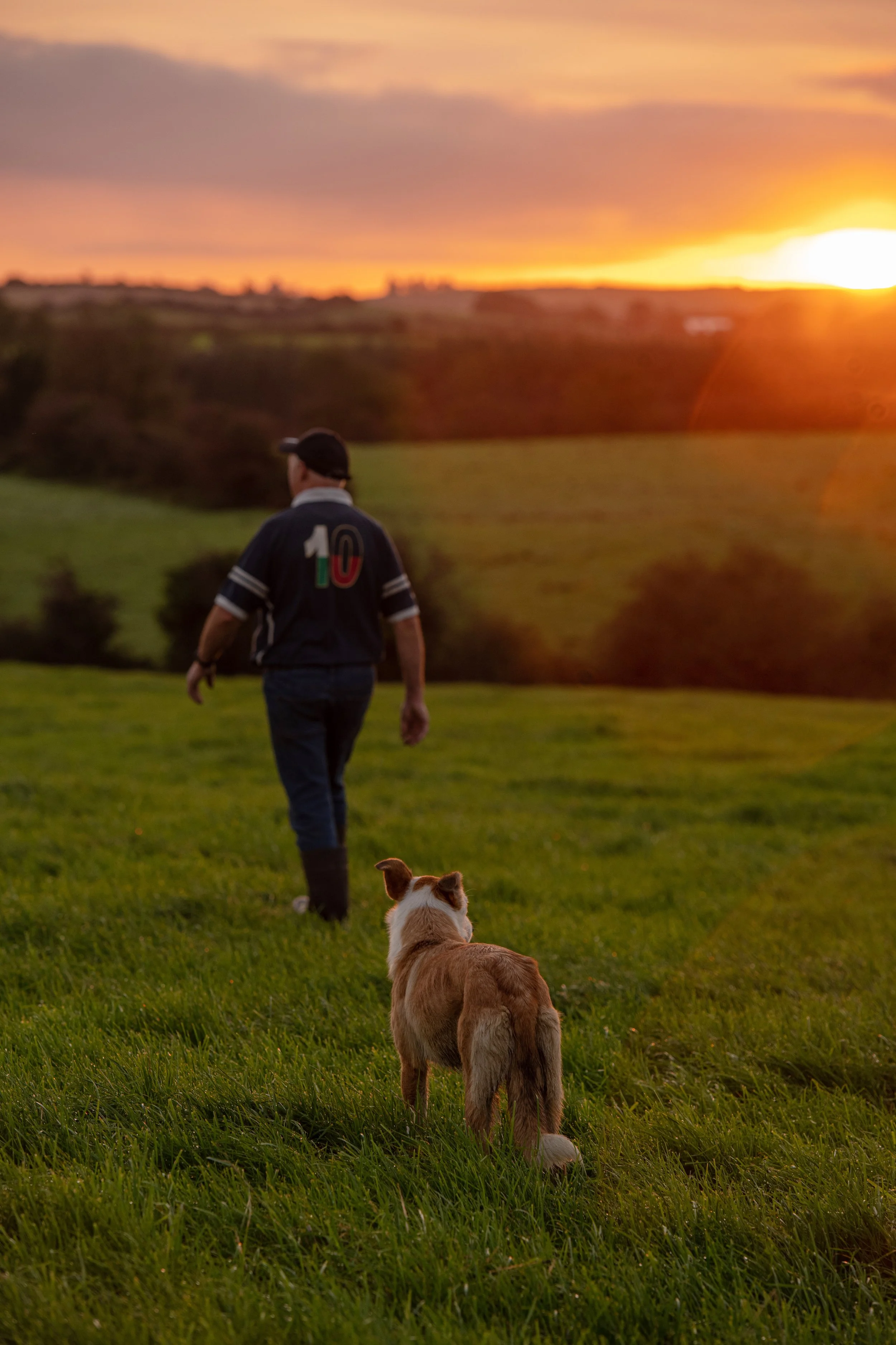 QMA23_Dullea_Co Cork_78.jpg